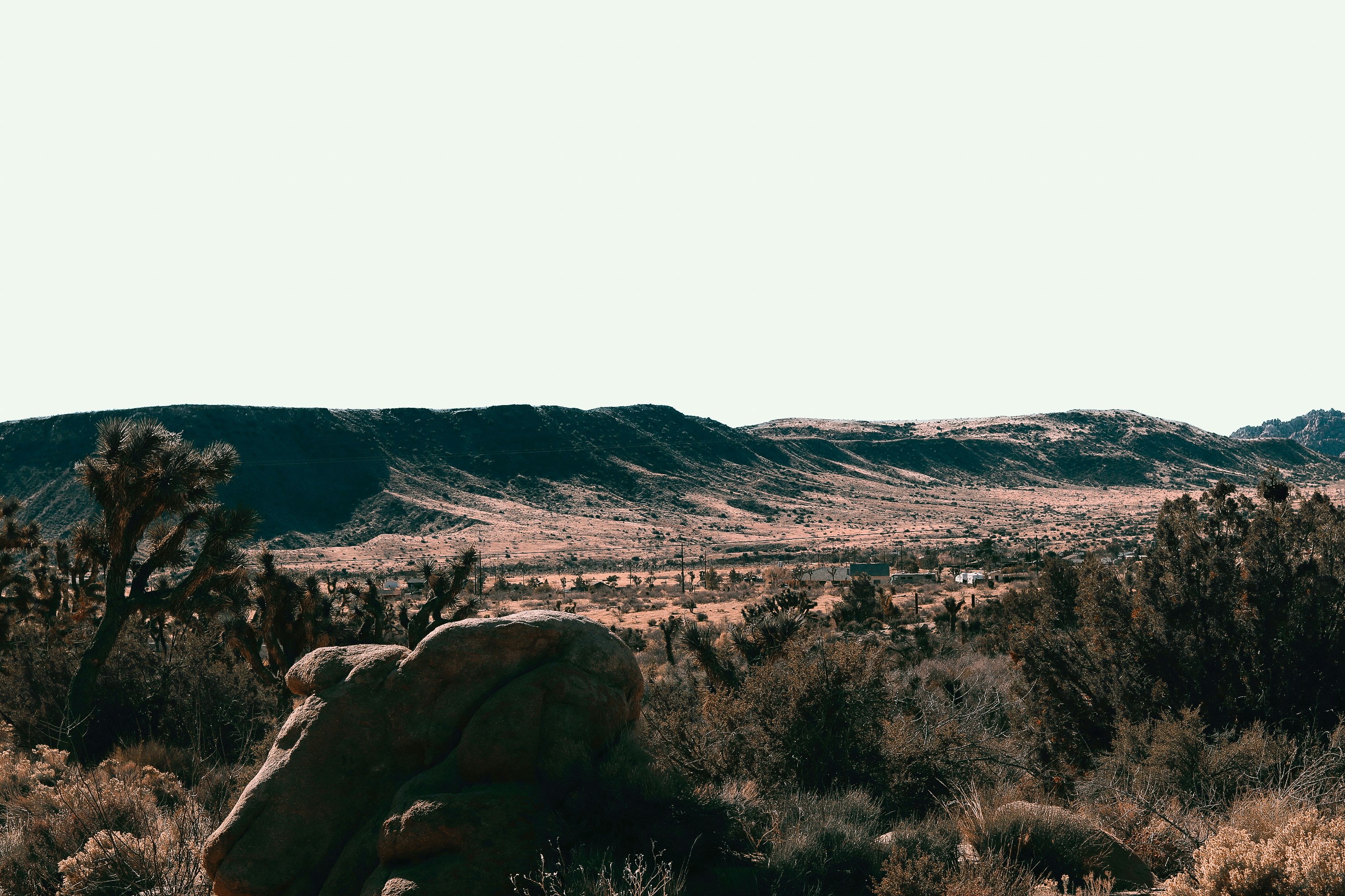 High desert landscape with dry brush and distant mountains under a scorching sun