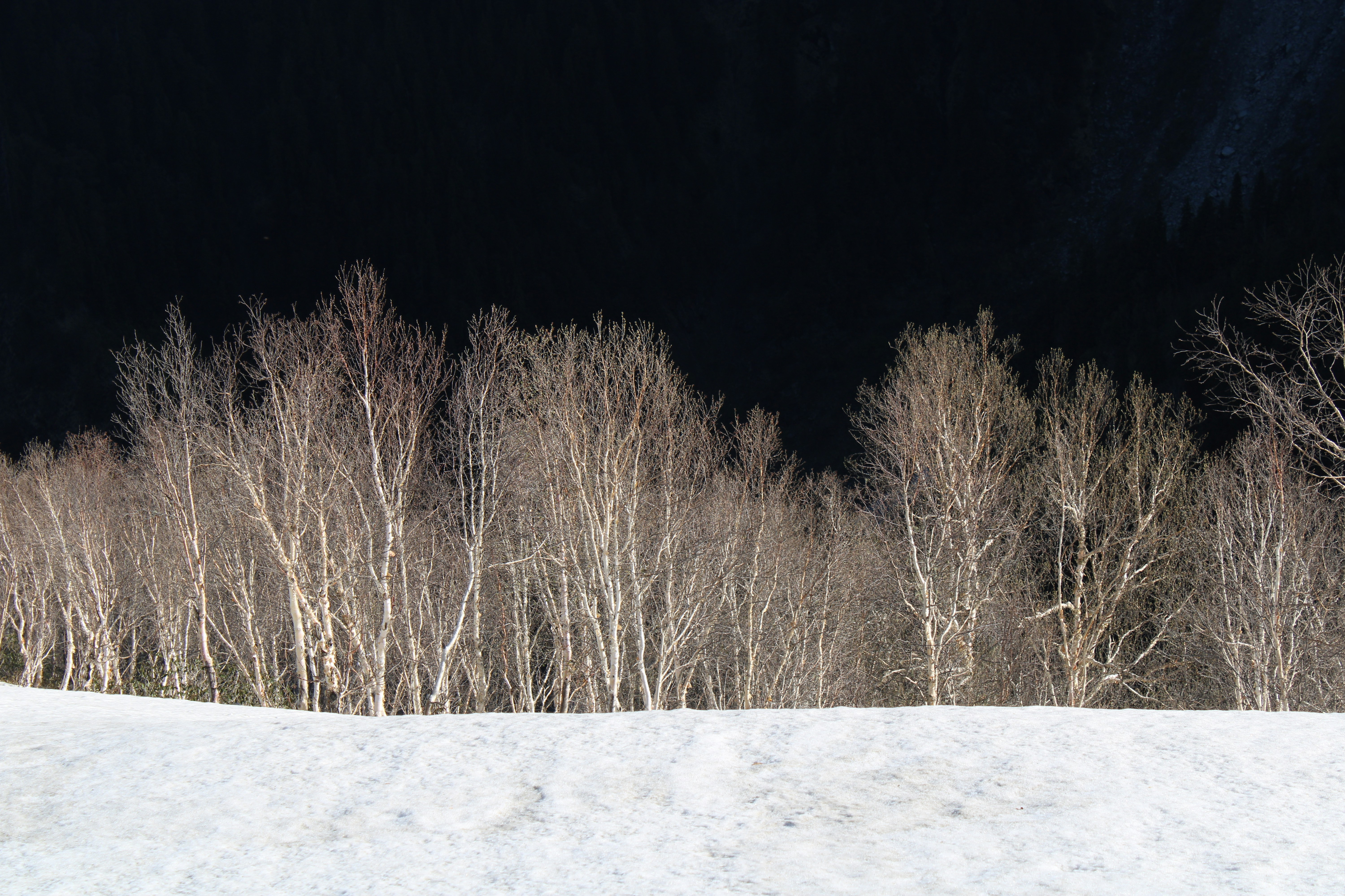 Photo by daastan_tasveer