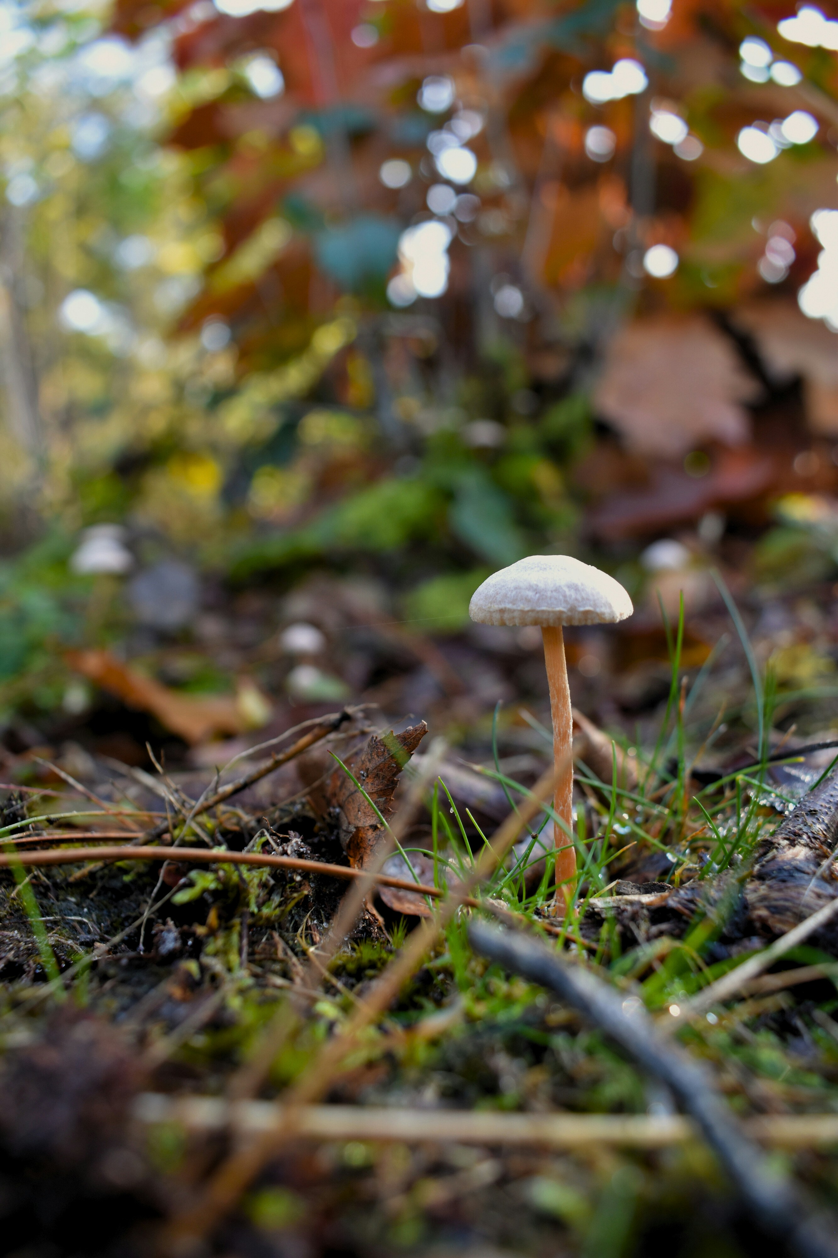 Photo by bo_schoonejans_photography