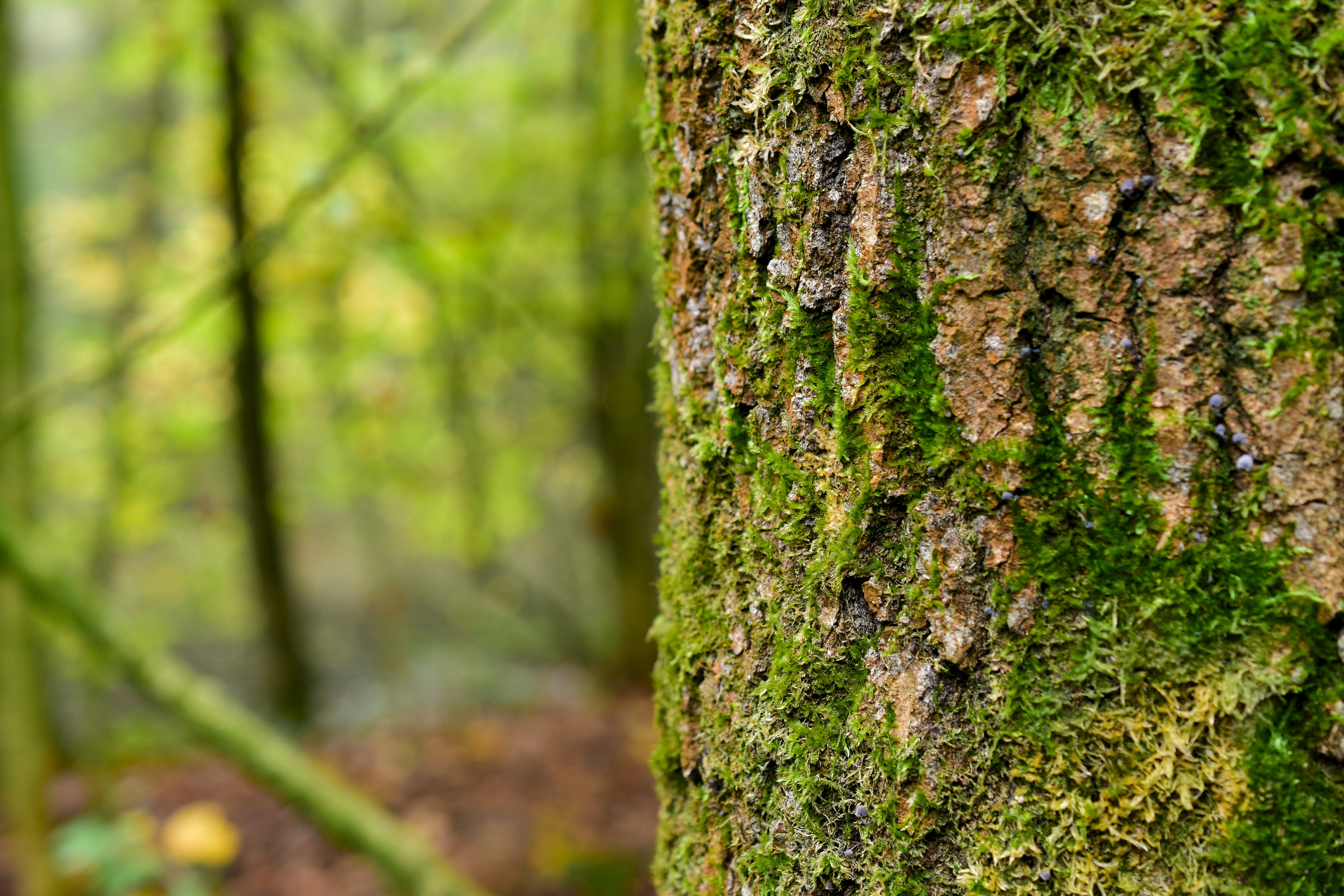 Photo by bo_schoonejans_photography