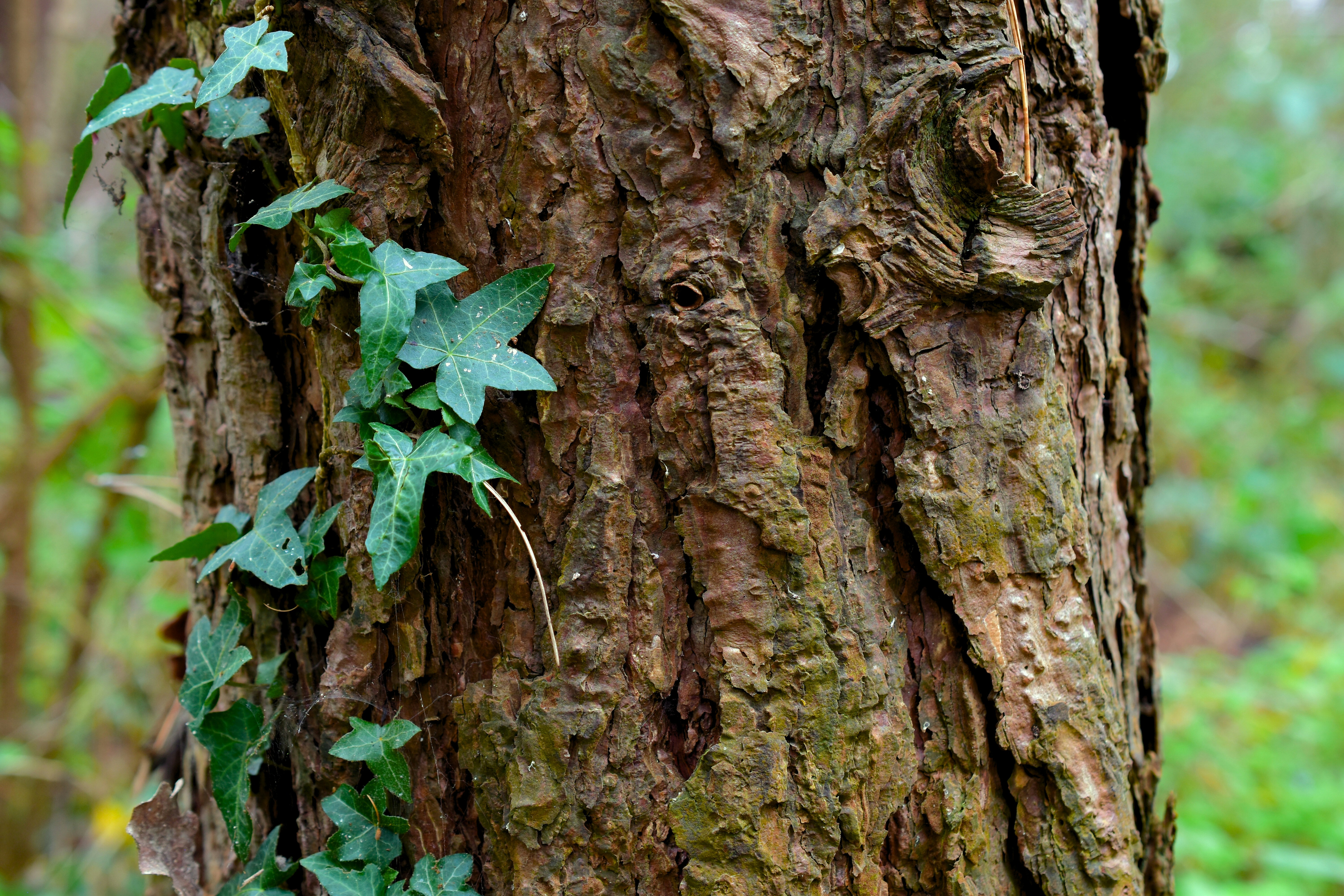 Photo by bo_schoonejans_photography