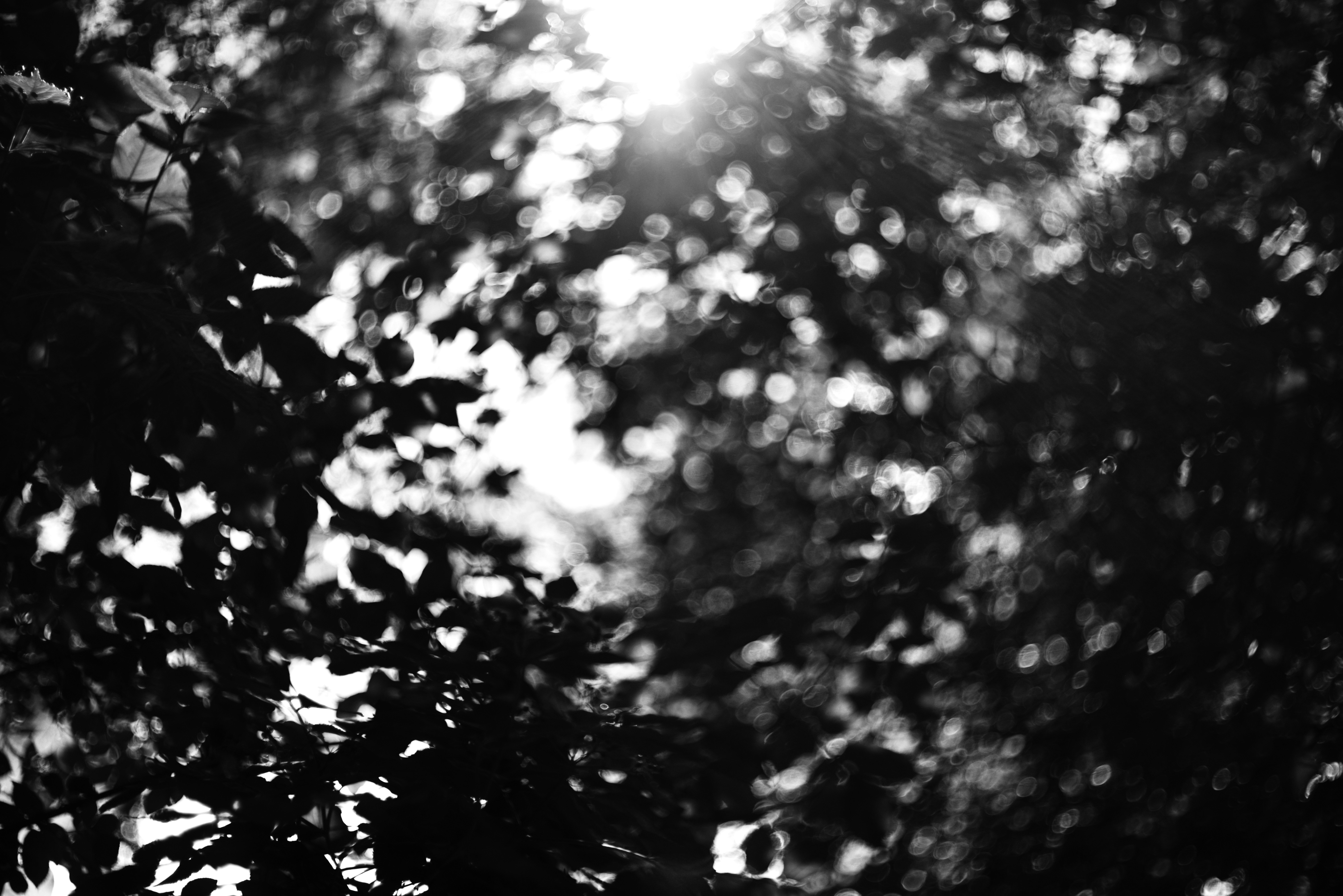 Photo by cherstve_pechivo