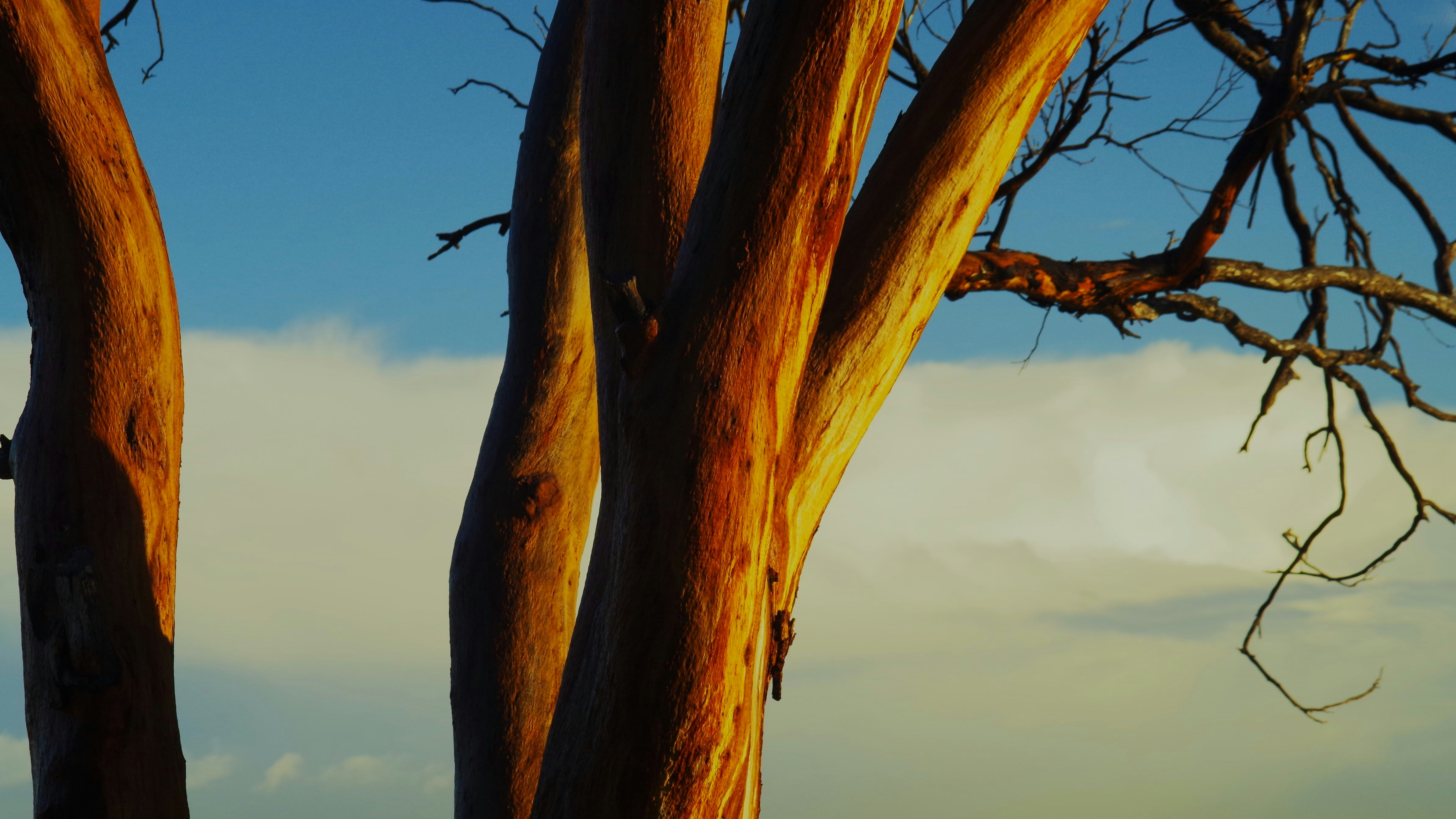 Photo by photoken123