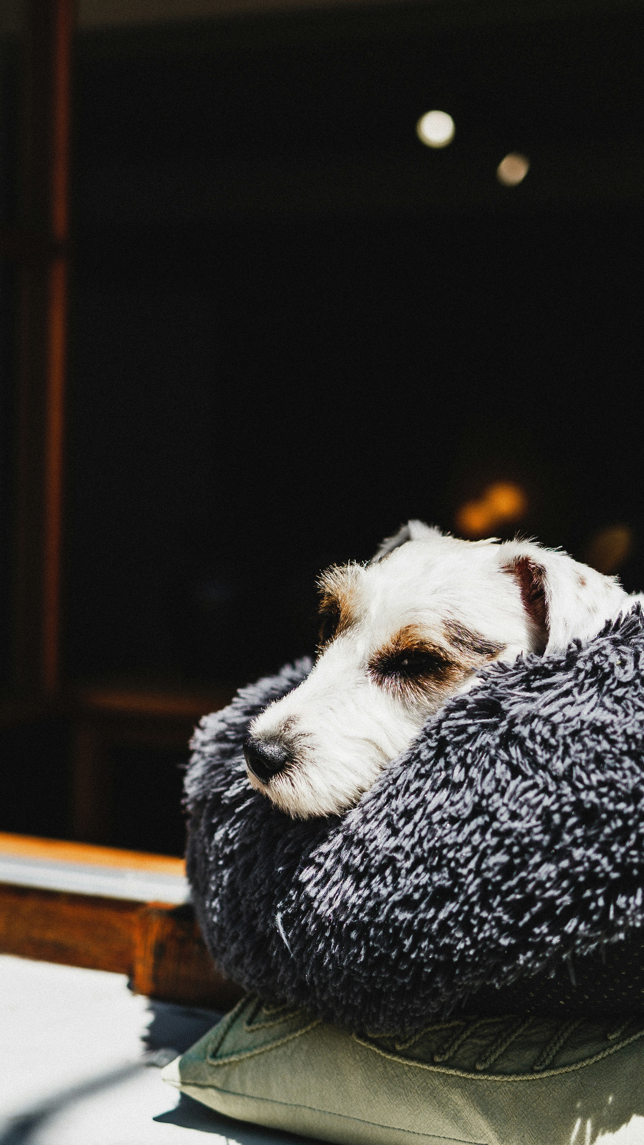 Photo by miguel_ind0