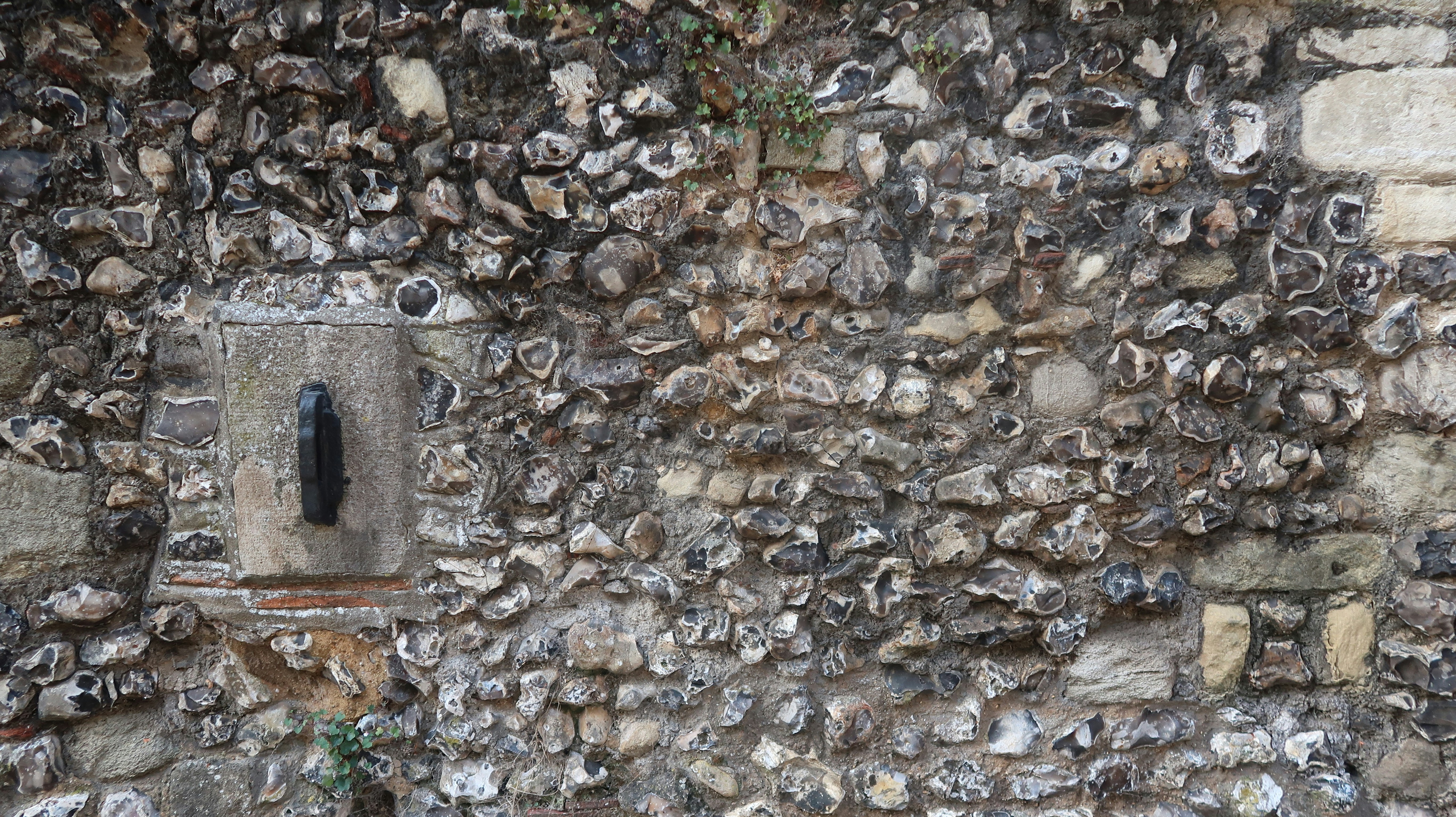 Photo by tanyabarrow