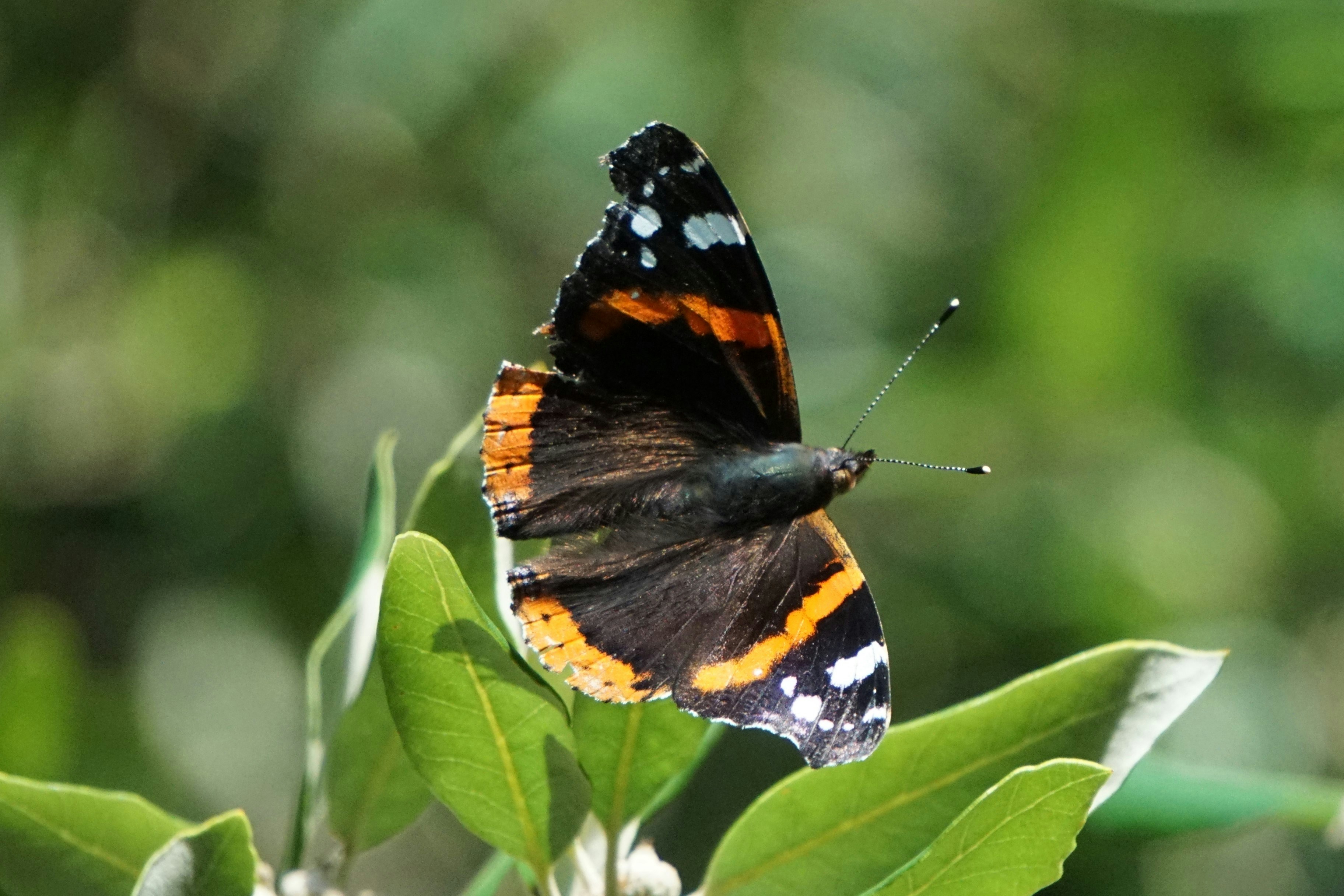 Photo by mostlymarvelling