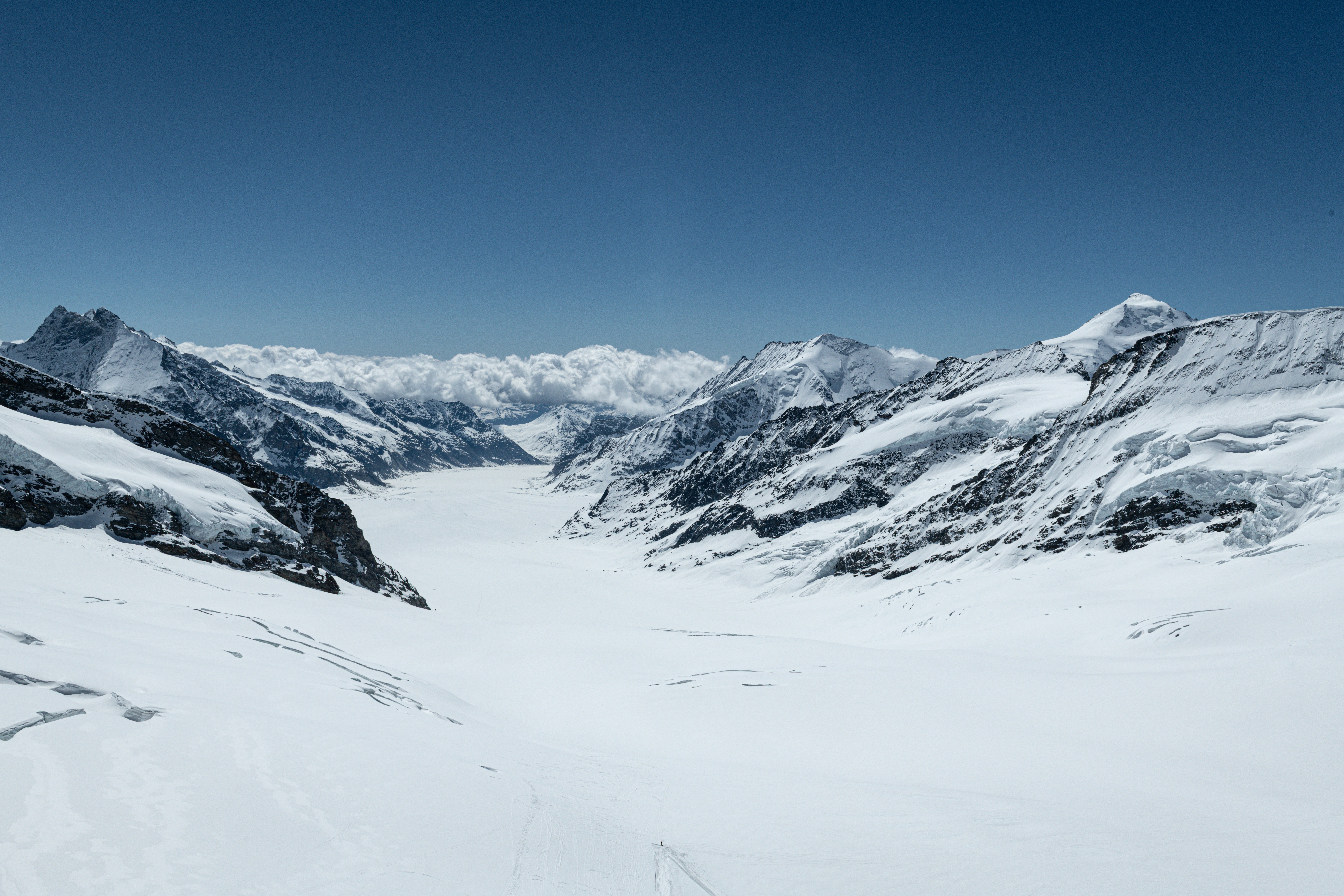 Photo by sriniunsplash