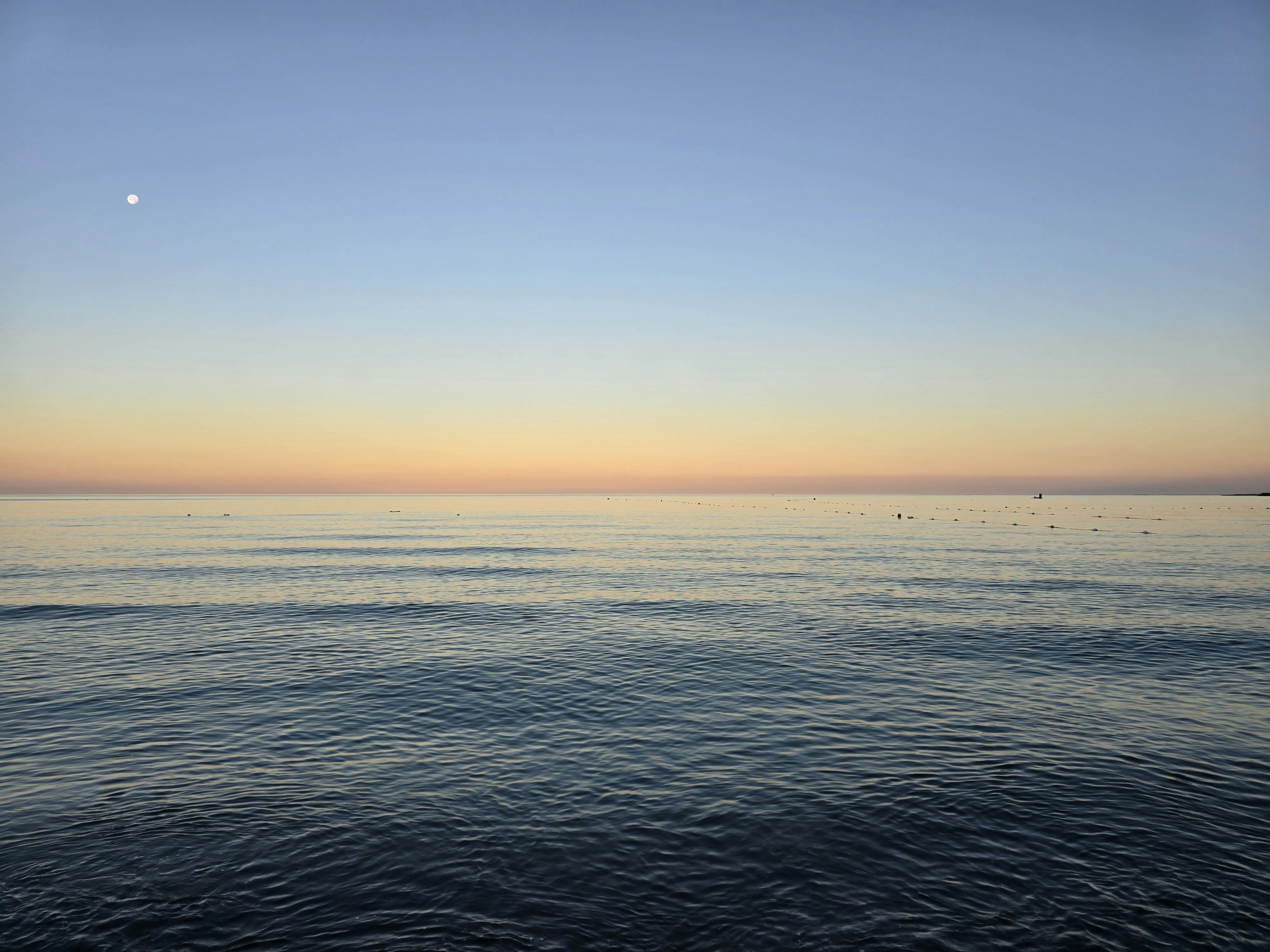 Photo by alberthyseni