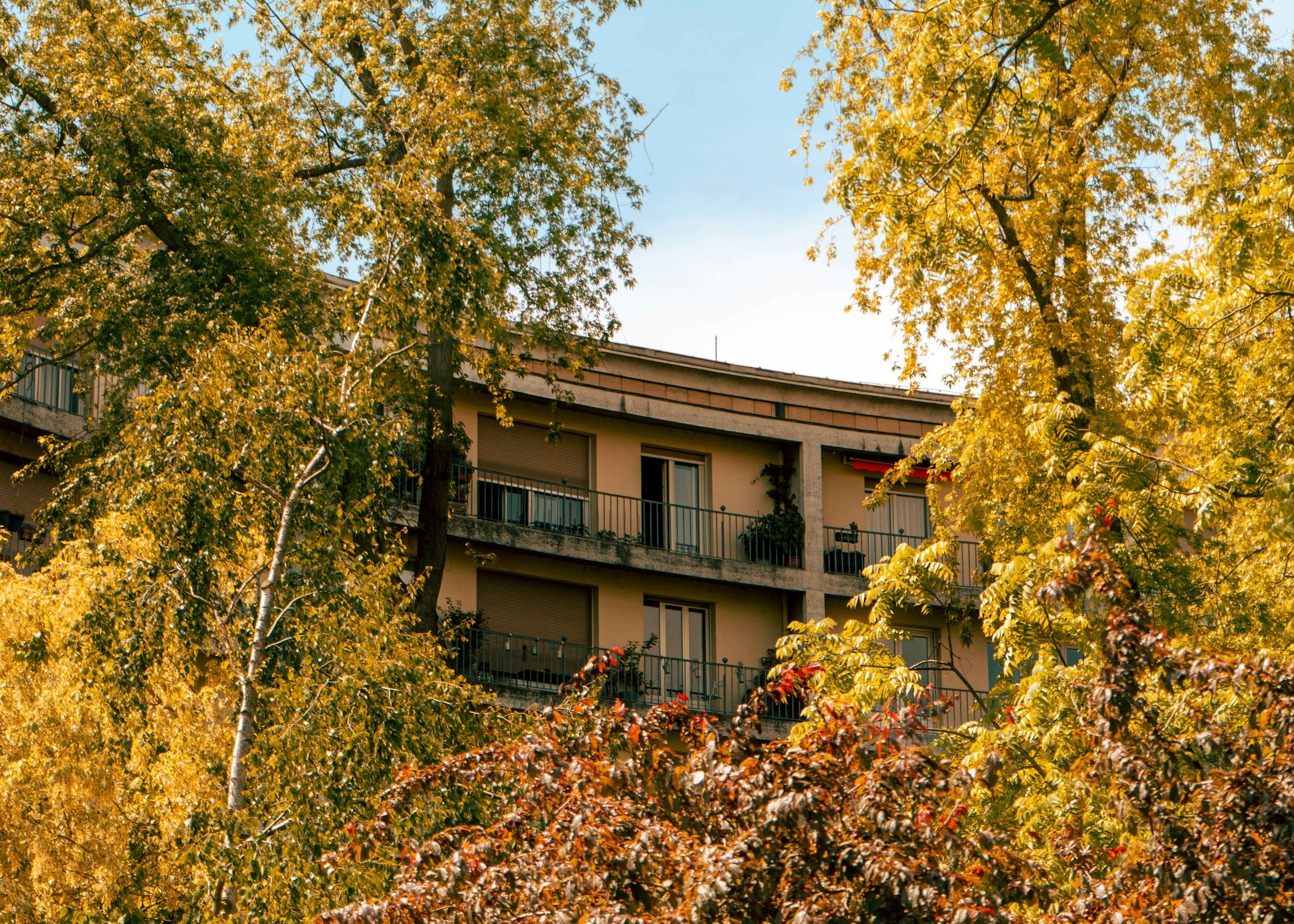 Photo by annastampfli