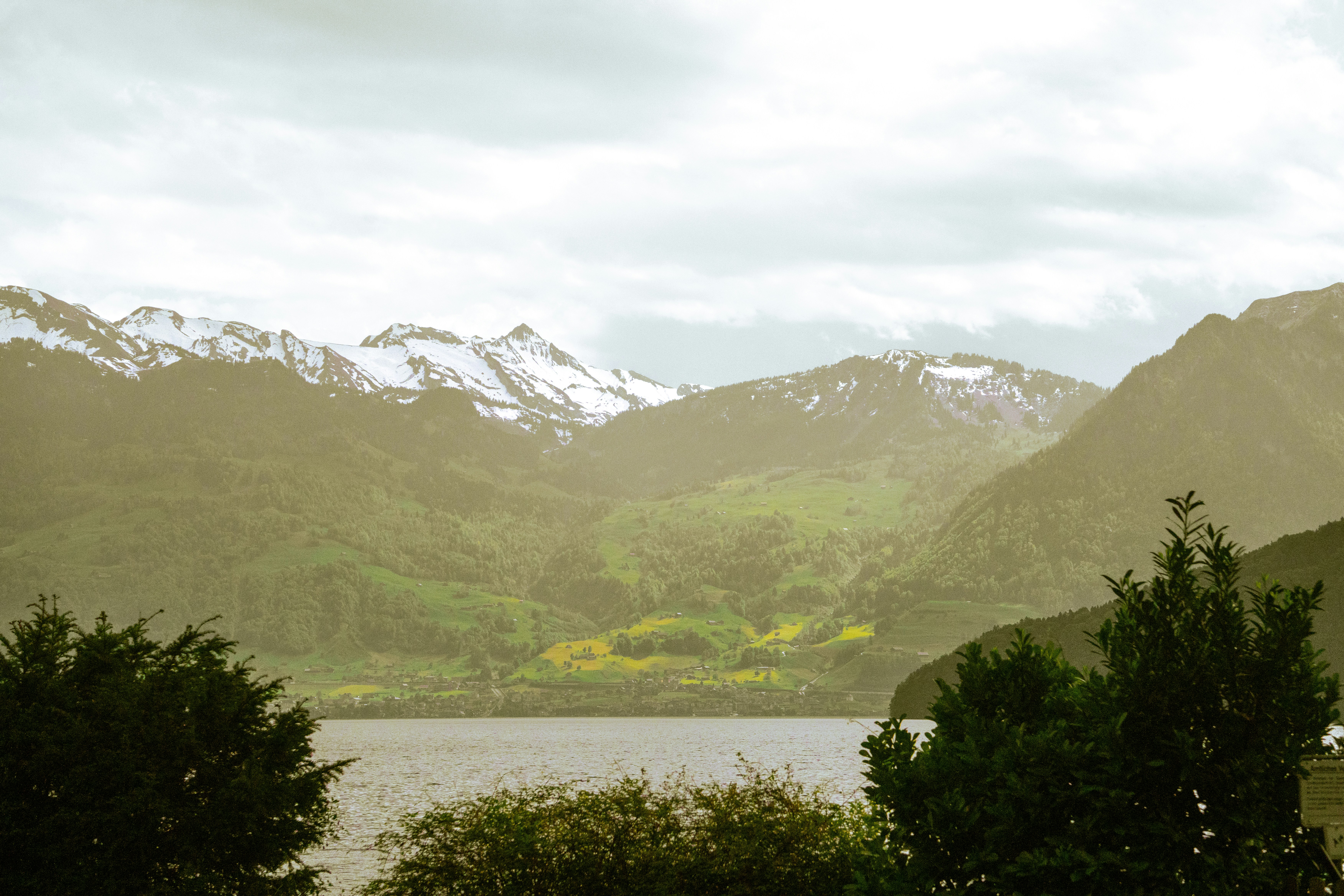 Photo by annastampfli