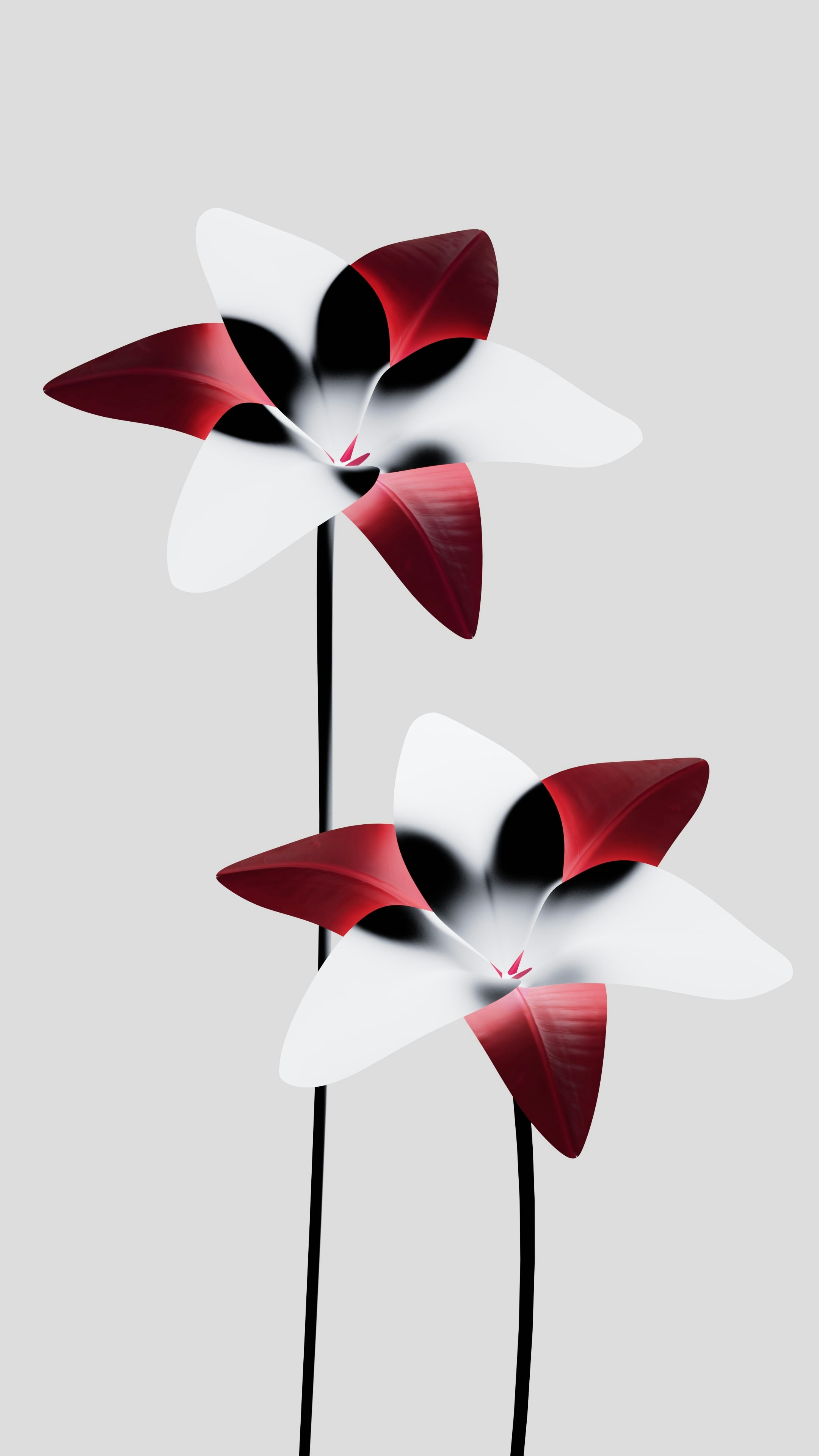 Photo by tridimensipro