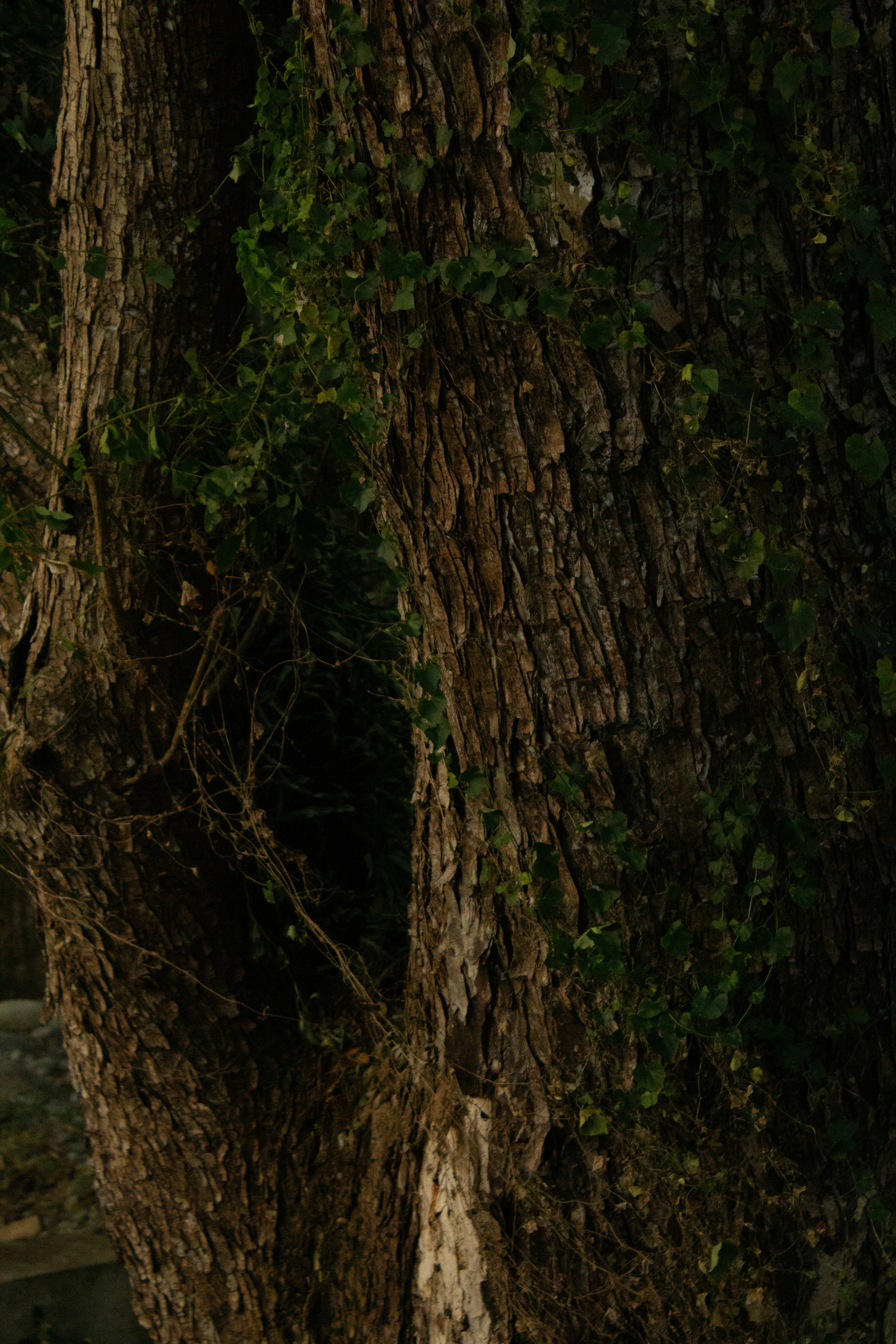 Photo by russellphotograpy