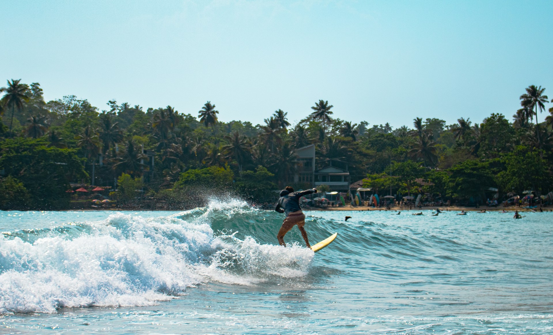 A surfer rides a wave near the shore.