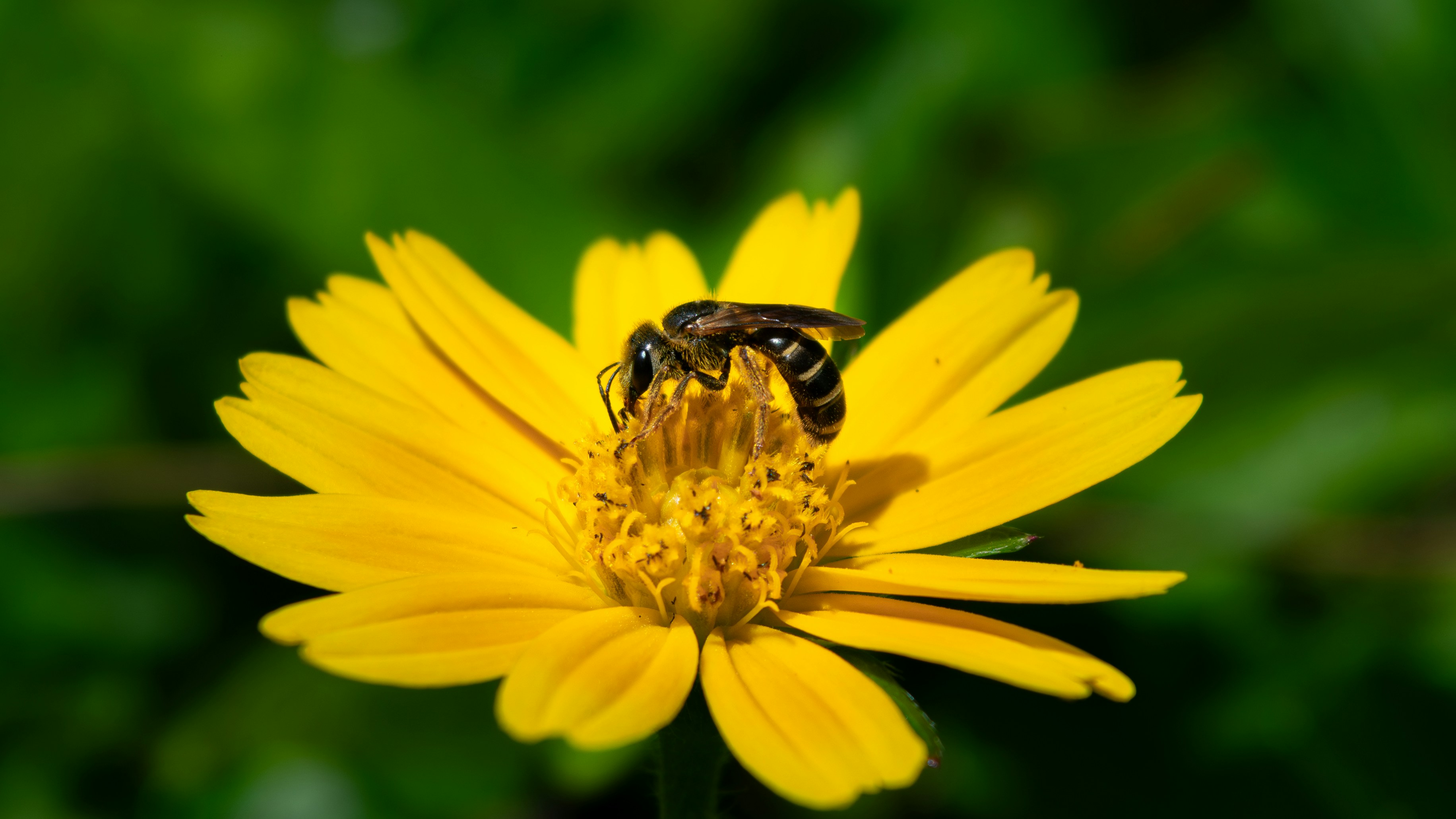 Photo by charlesnowling