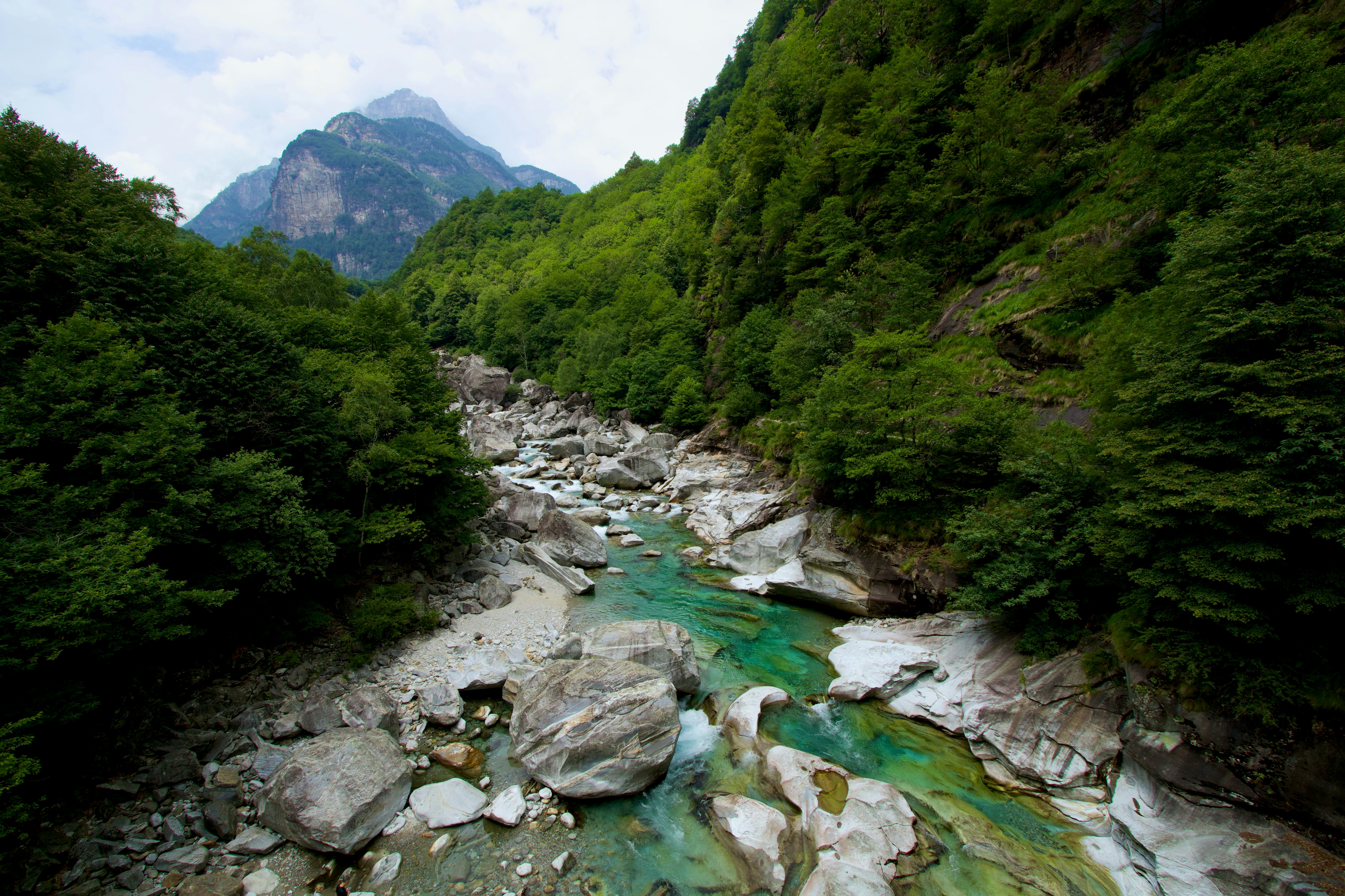 Photo by valcasanova_