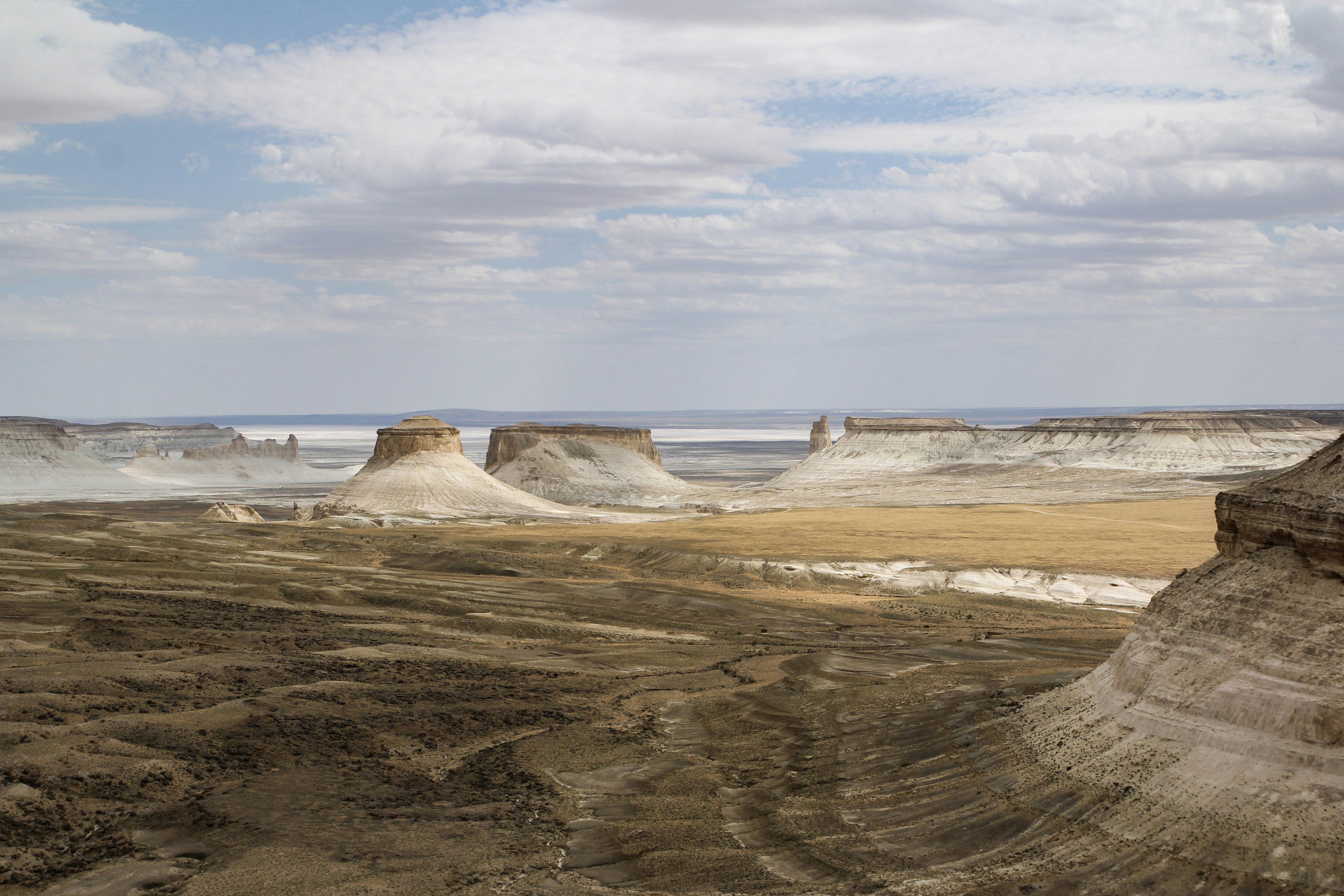 Photo by chocolate_milk_denmark