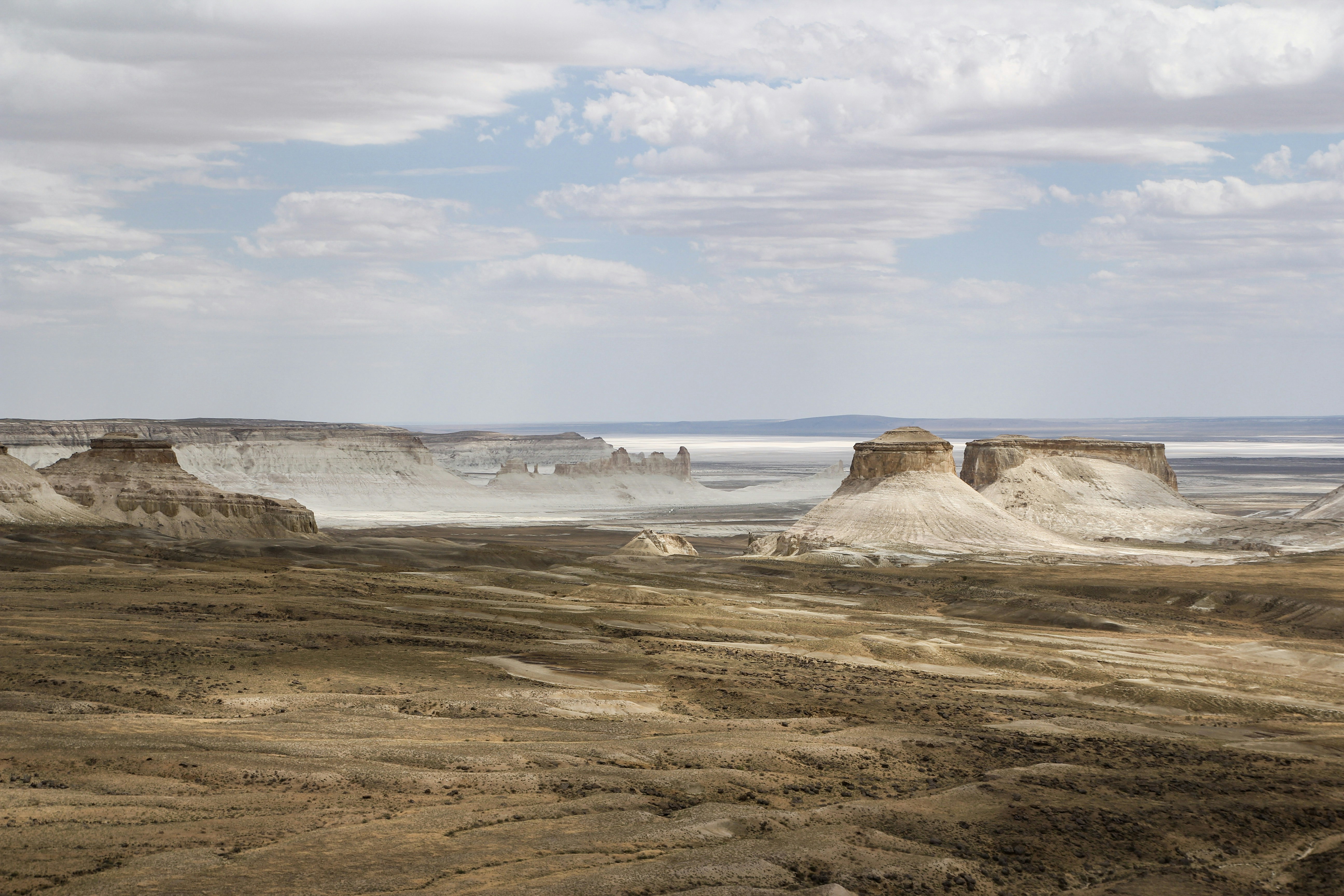 Photo by chocolate_milk_denmark