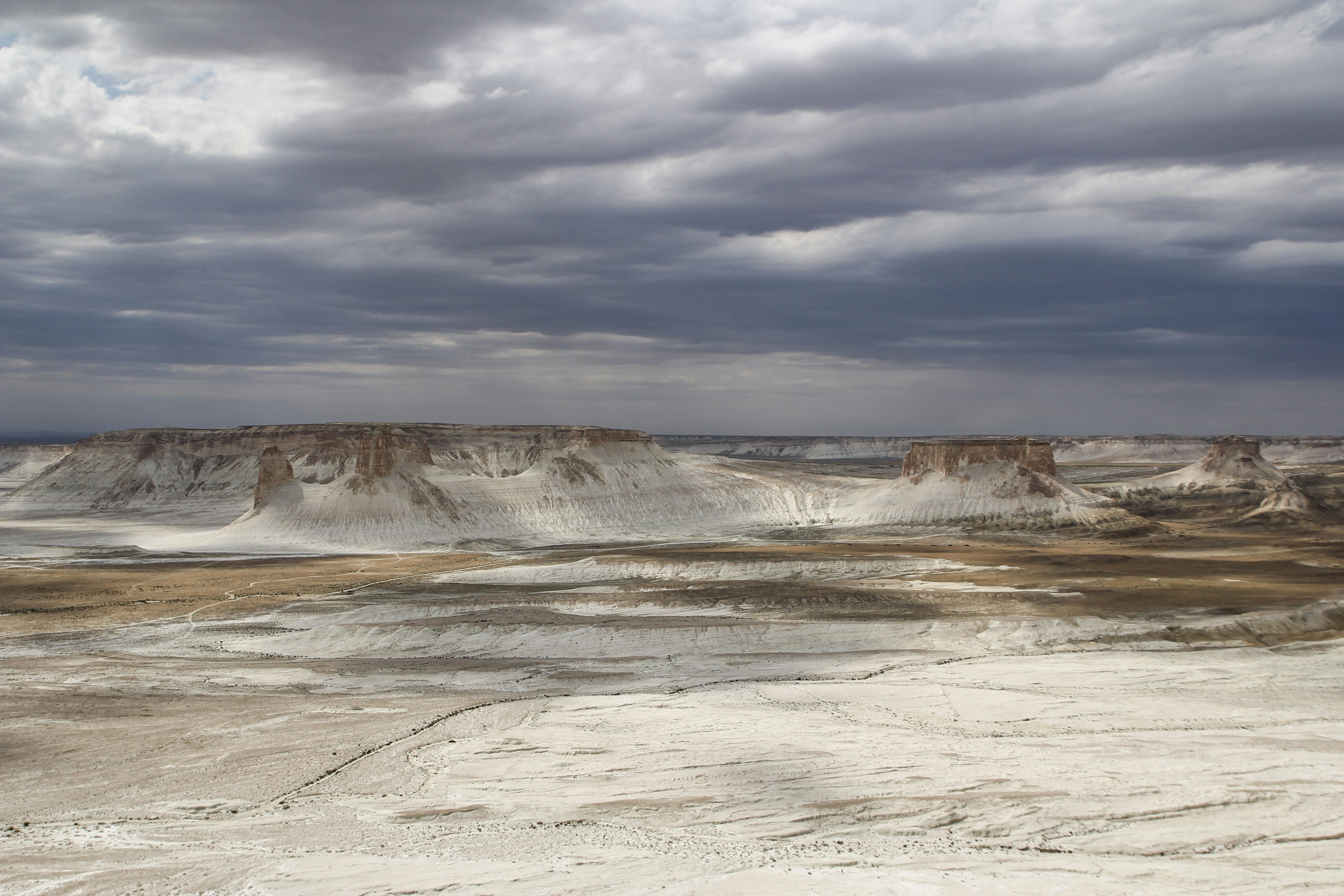 Photo by chocolate_milk_denmark