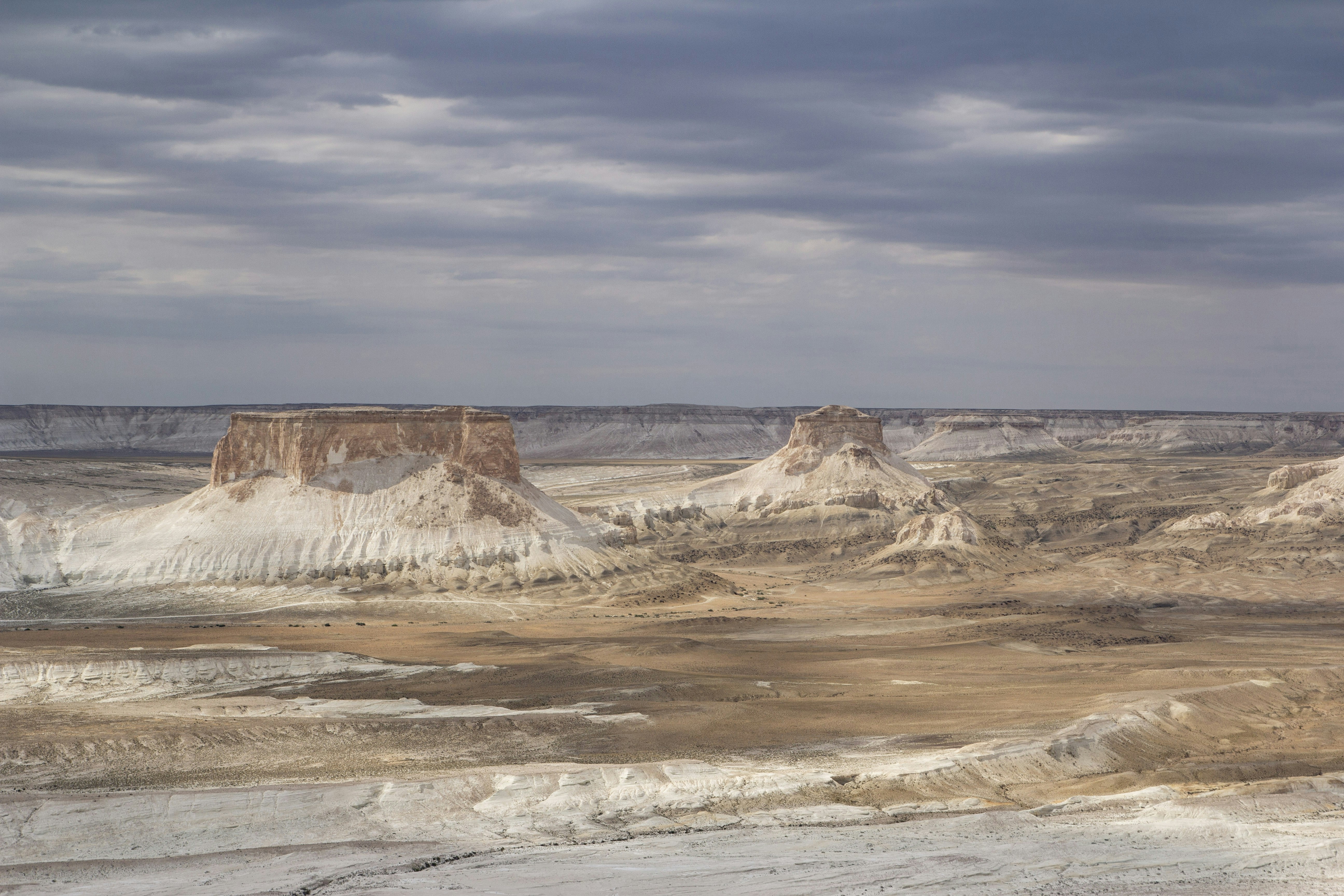 Photo by chocolate_milk_denmark