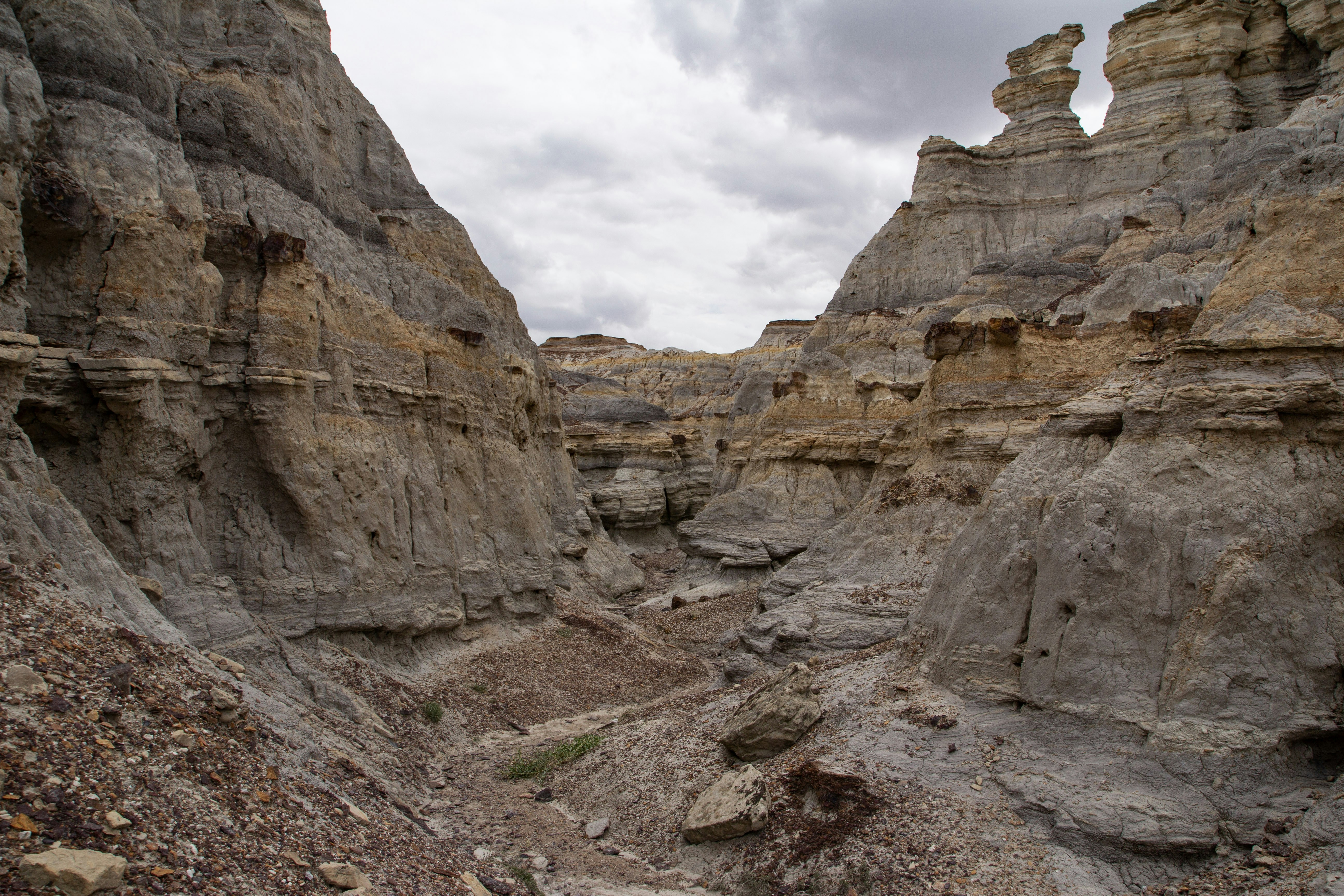 Photo by chocolate_milk_denmark