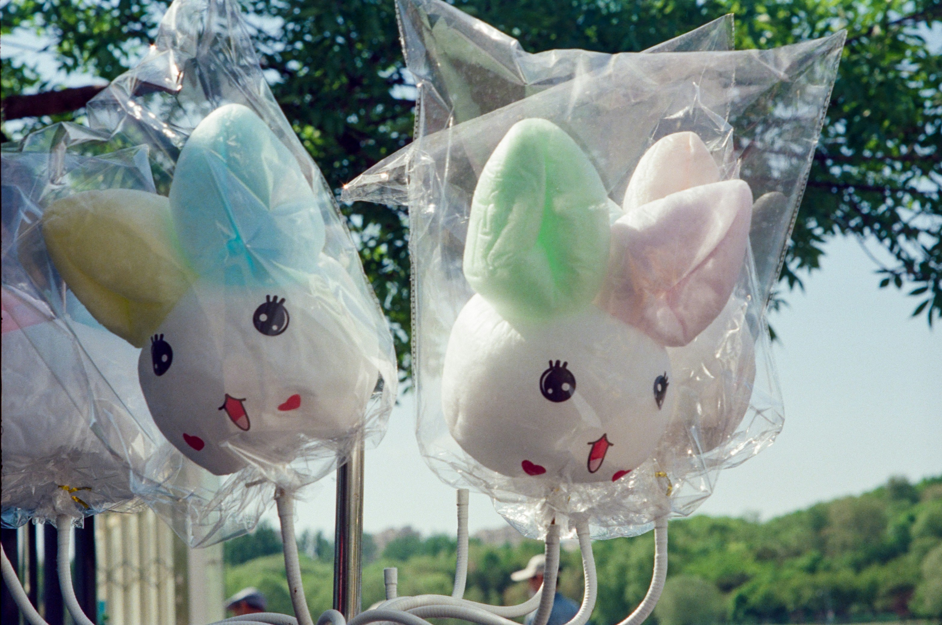 Photo by megamind006