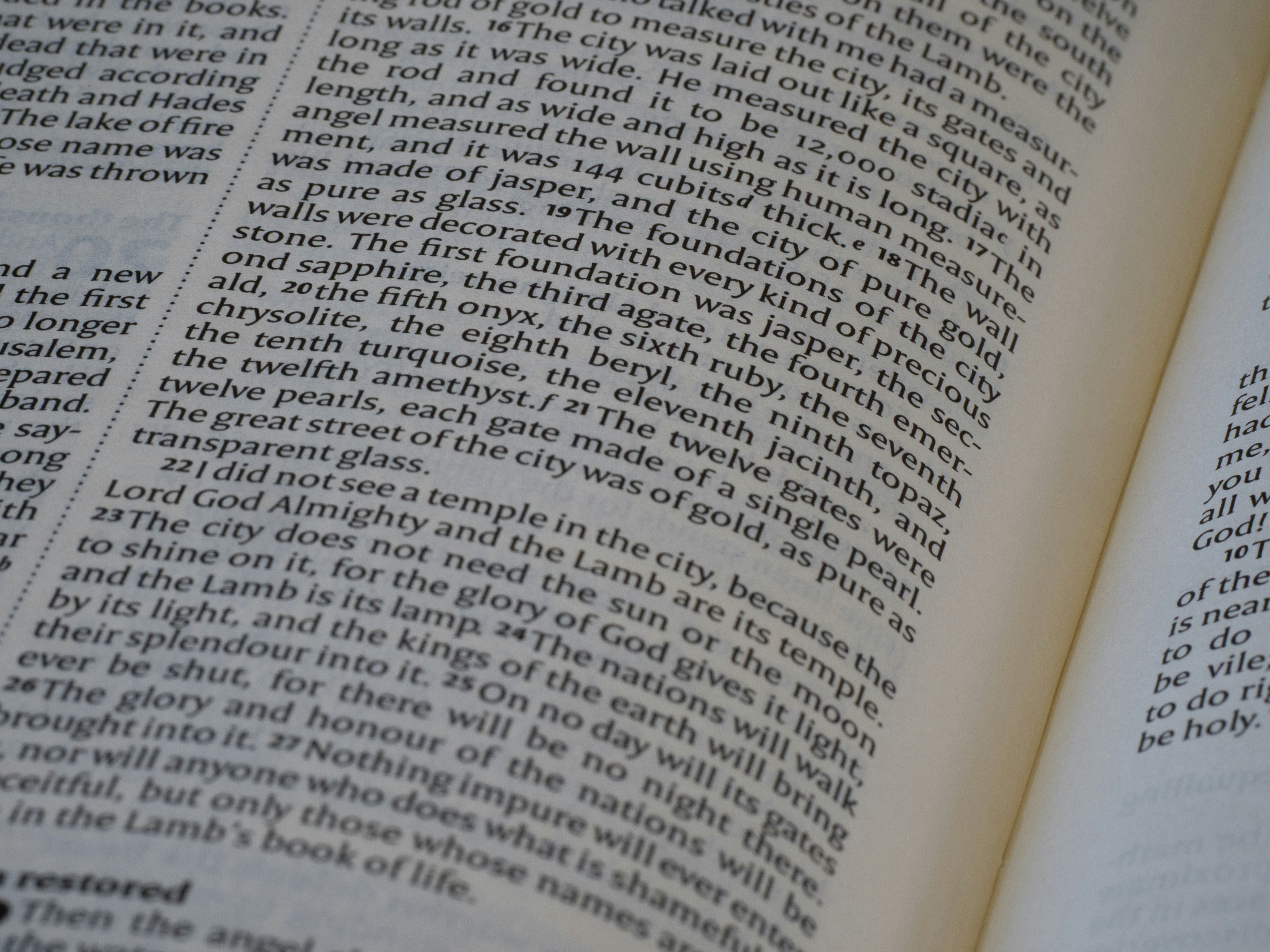 Photo by brett_jordan