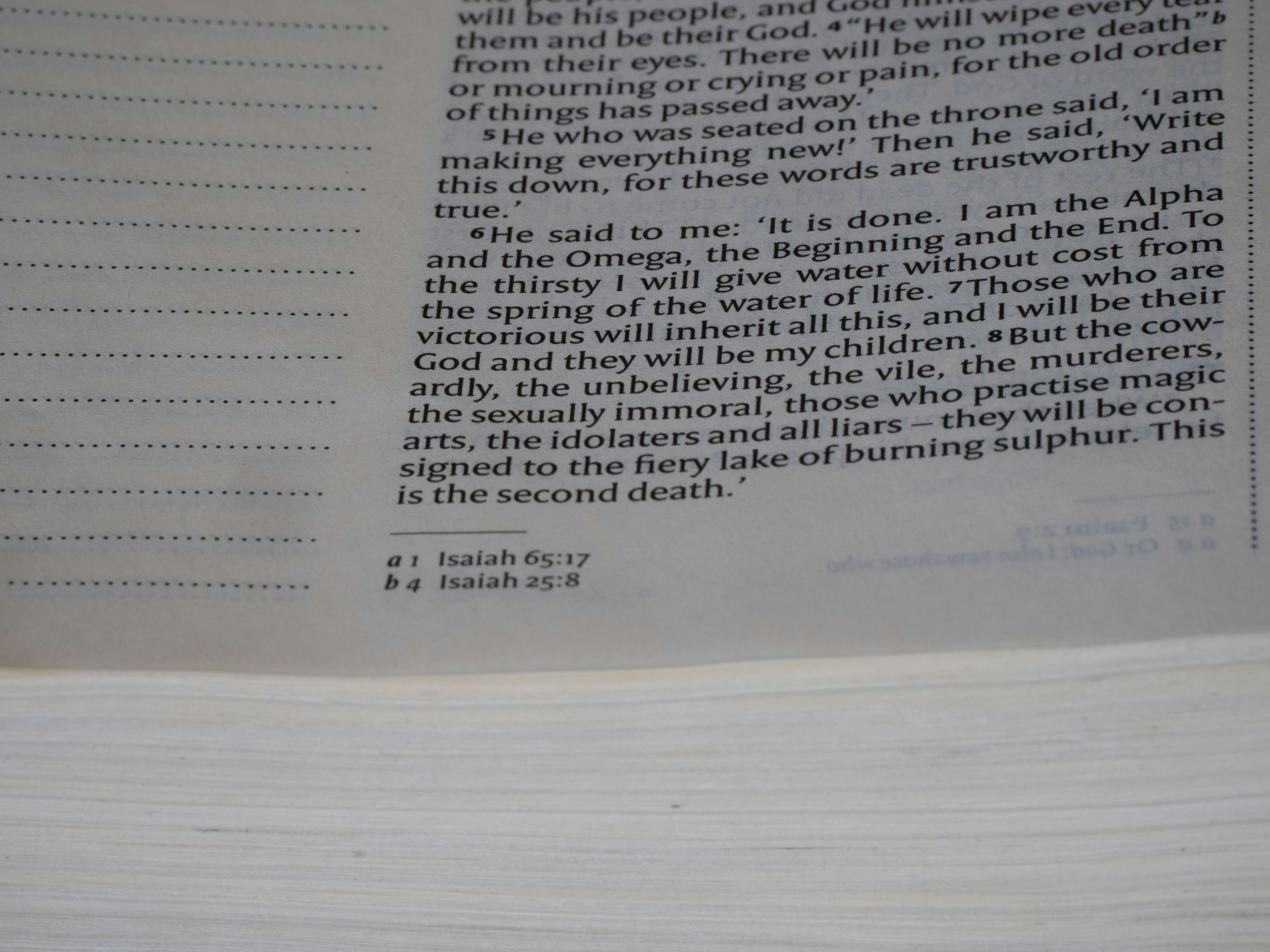 close up, bokeh, bible, new testament, christian, history, text, reading, bible study, devotions, christianity, scripture, revelation, book of the apocalypse, apocalypse of john, apocalyptic, unveiling, john, patmos, return of jesus, hope, comfort,