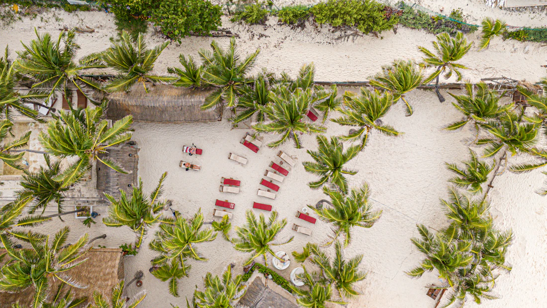 Aerial view of a palm-lined beach on Isla Mujeres, across the bay from Costa Mujeres