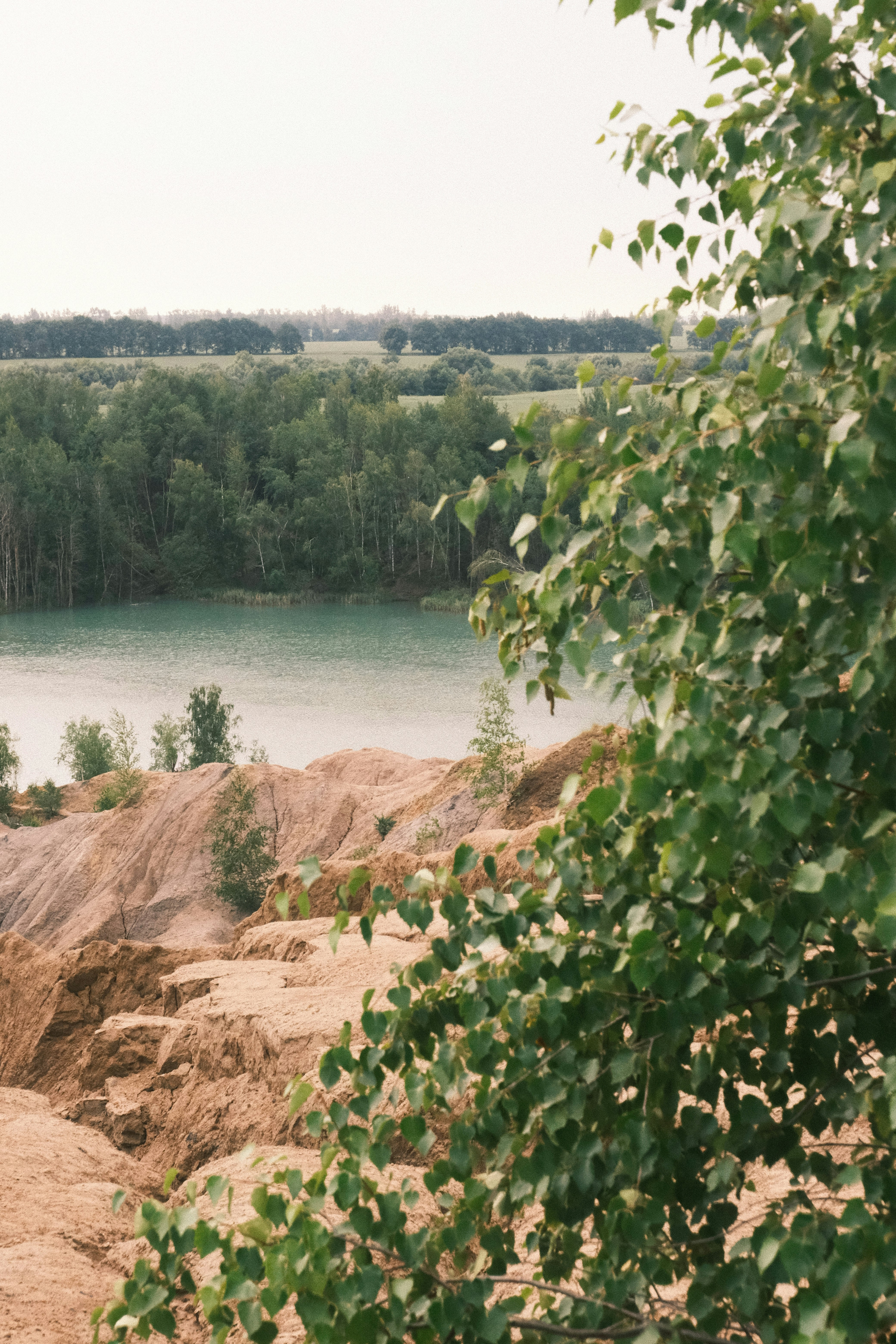 Photo by tatianarudneva