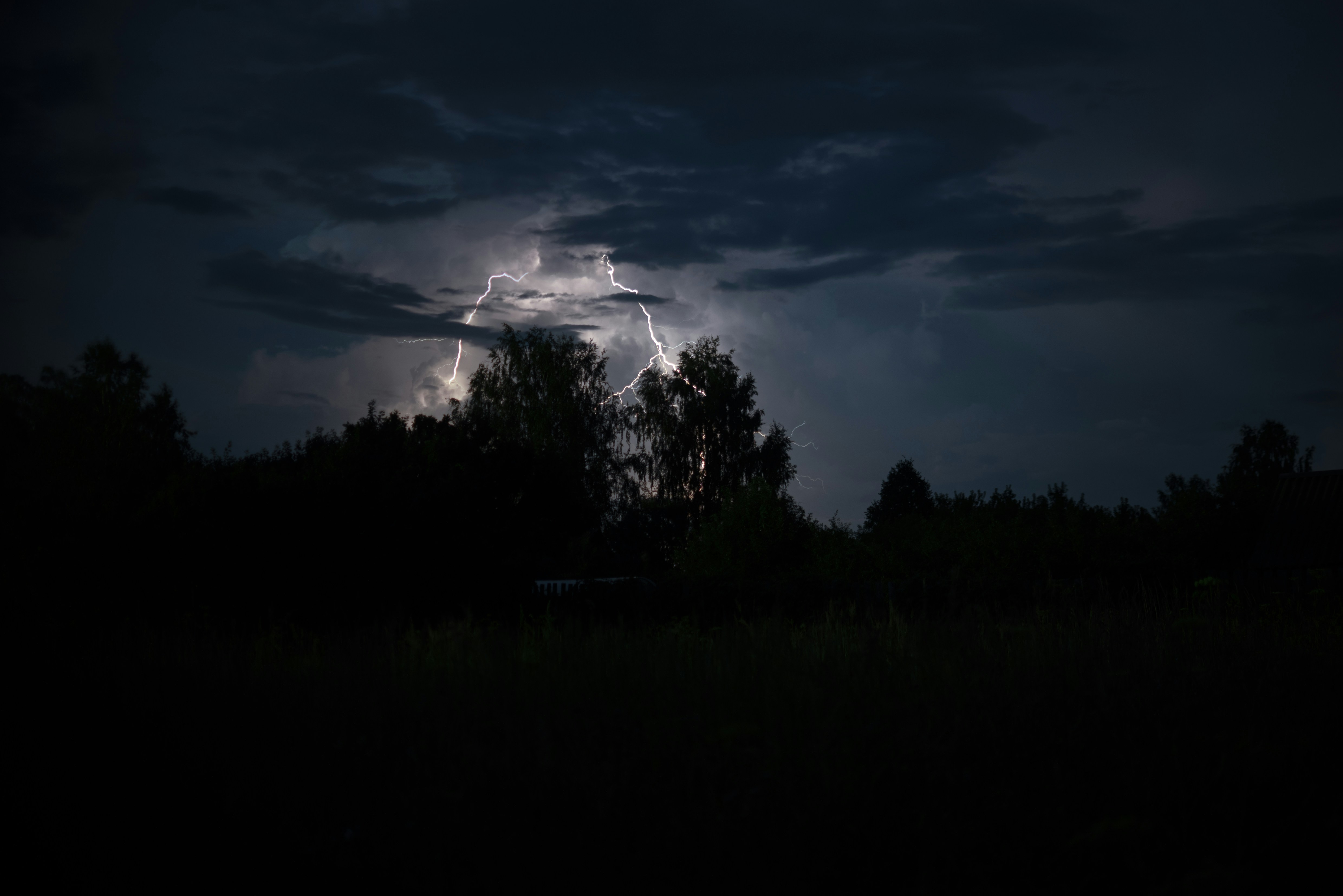 Photo by andrilliardbond