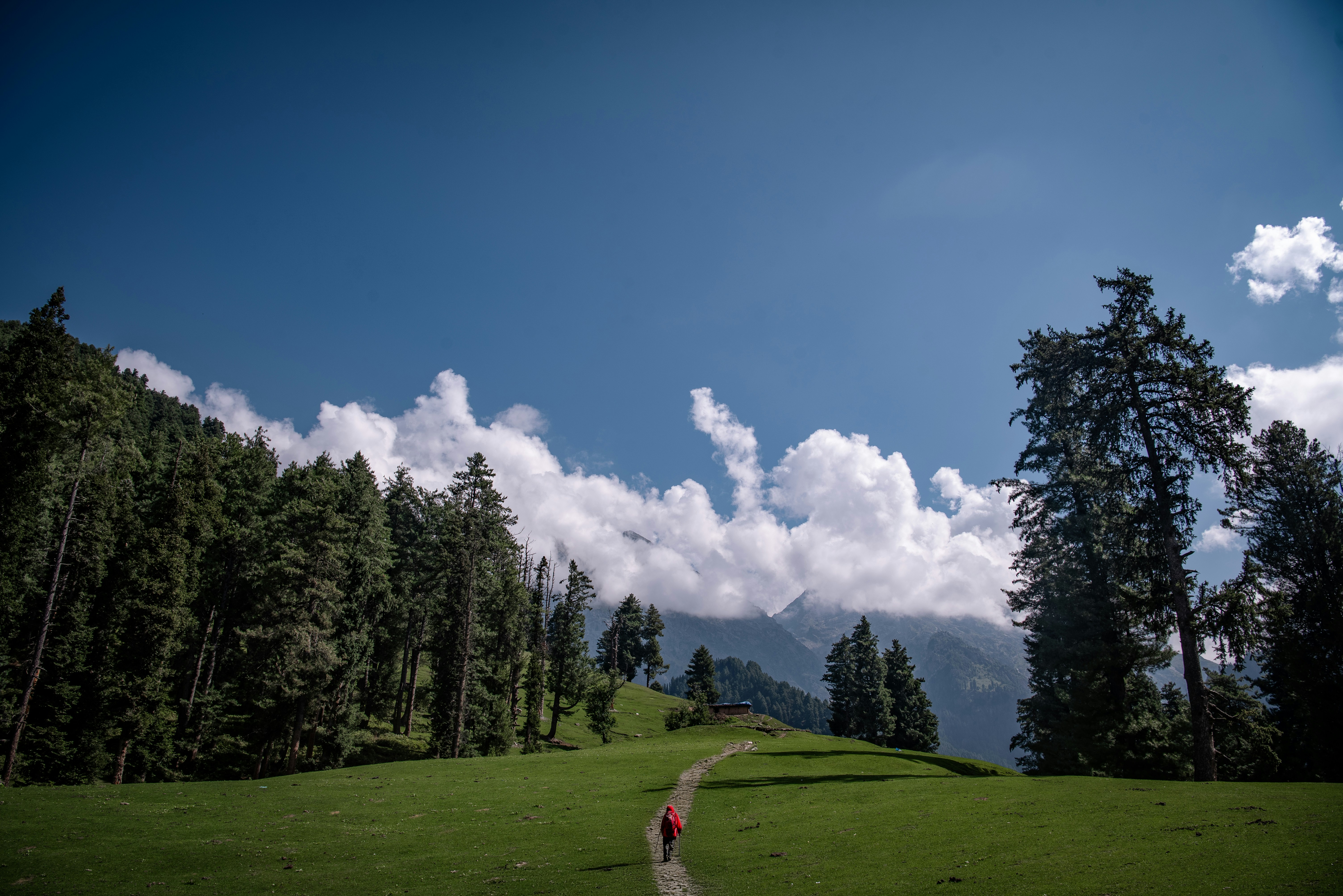 Scenic Indian landscape with person walking through meadow