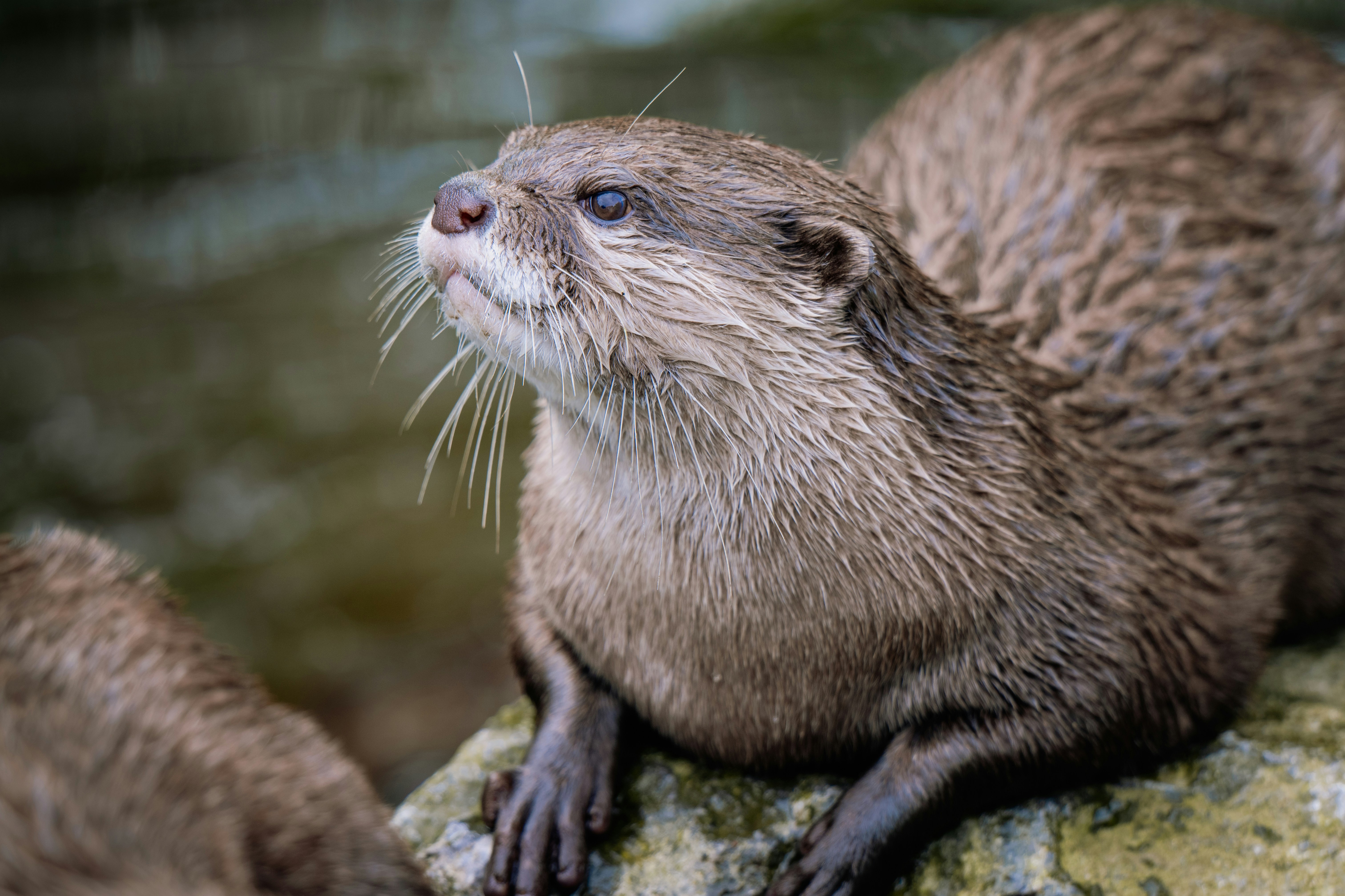 Photo by job_vermeulen