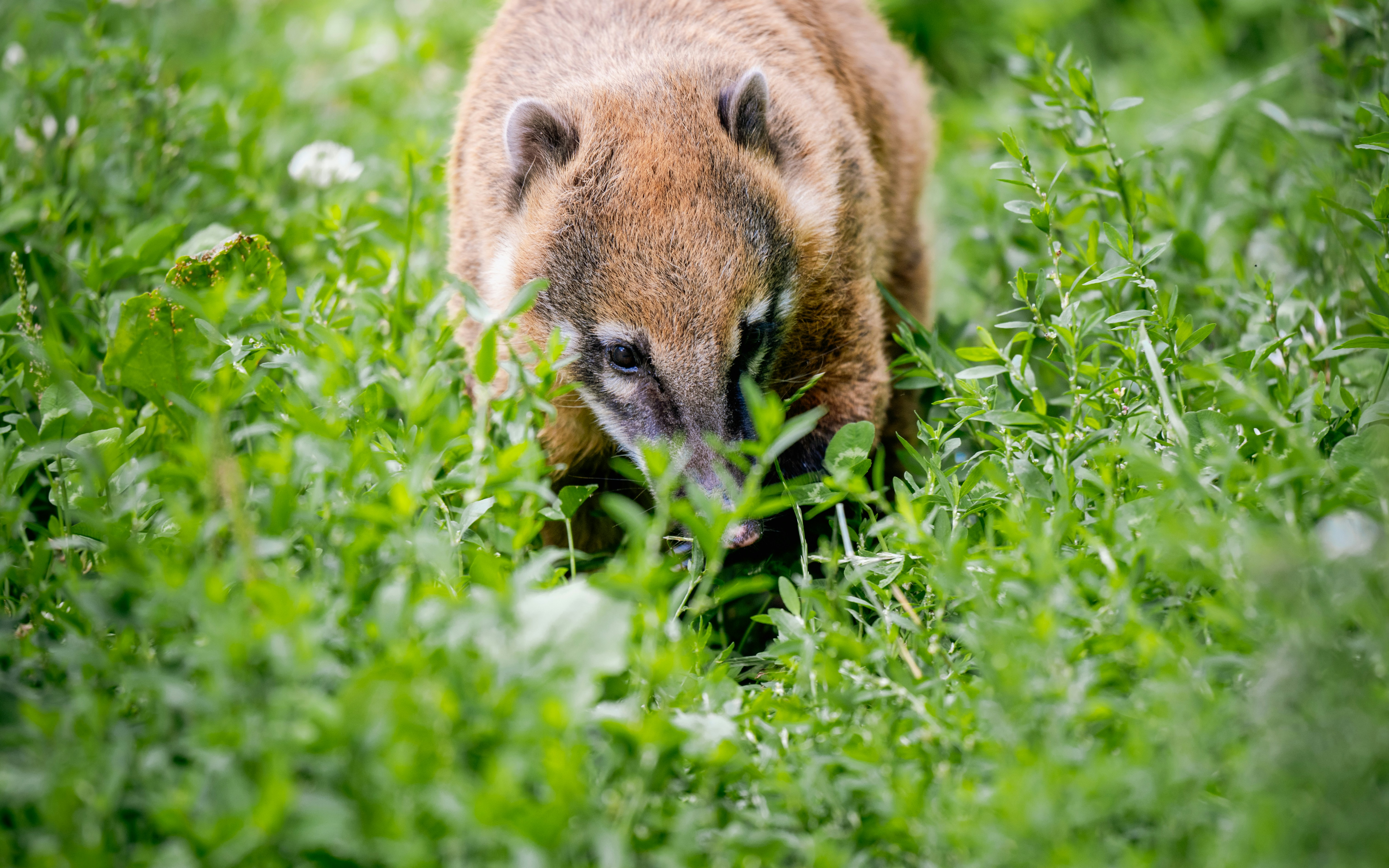 Photo by job_vermeulen