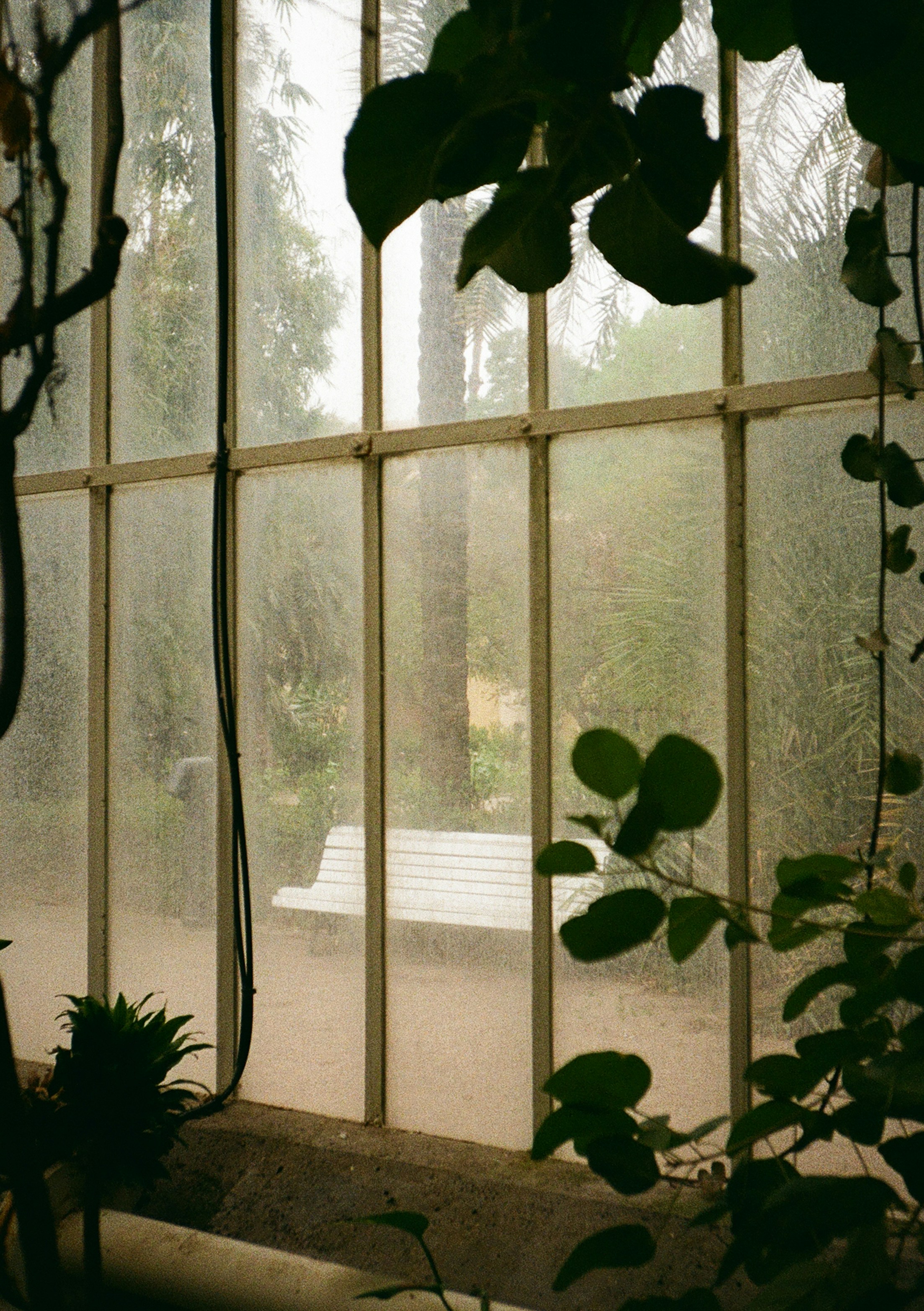 A bench sits beyond a dirty window.