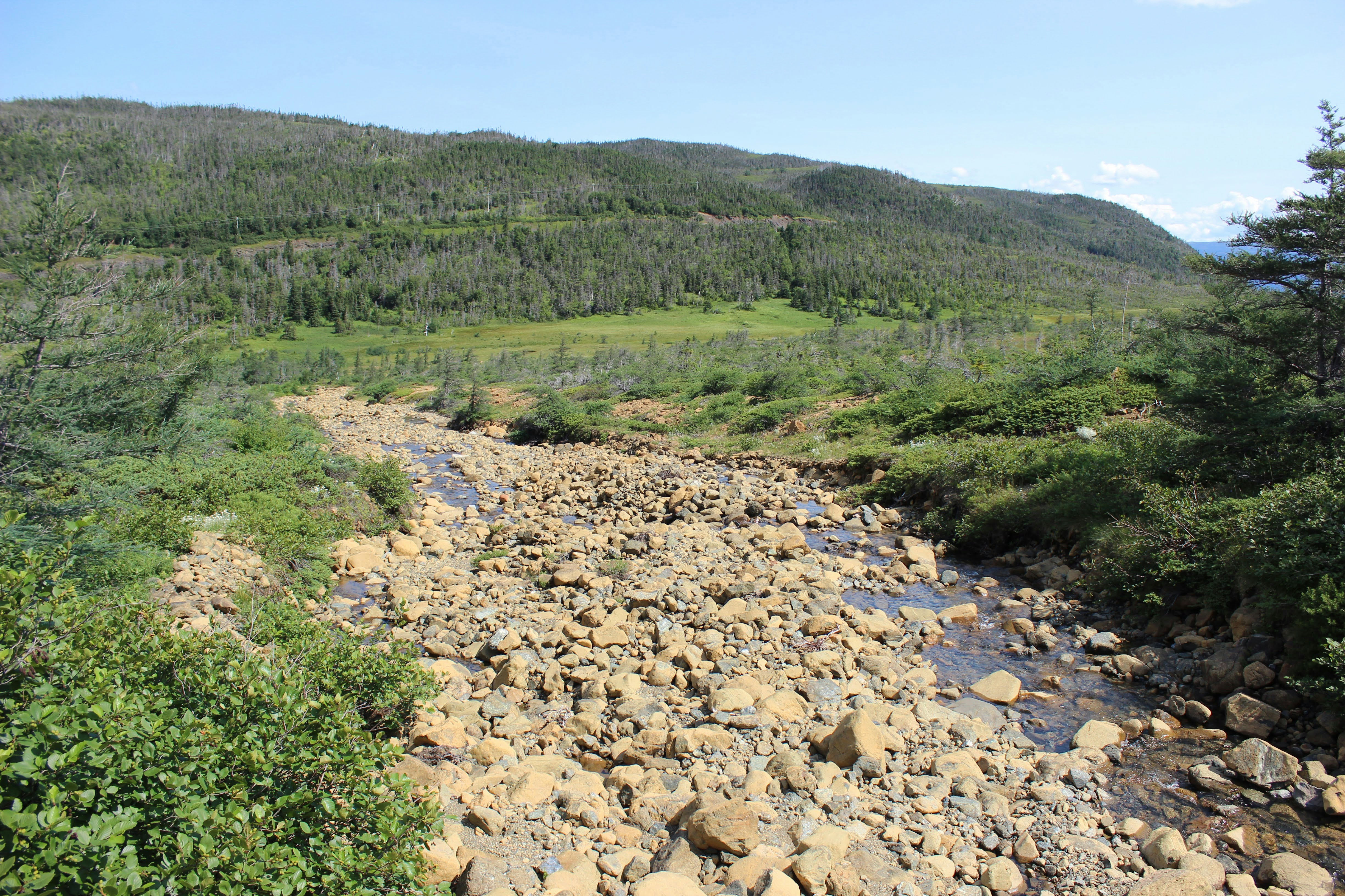 A rocky creek flows through a grassy landscape.