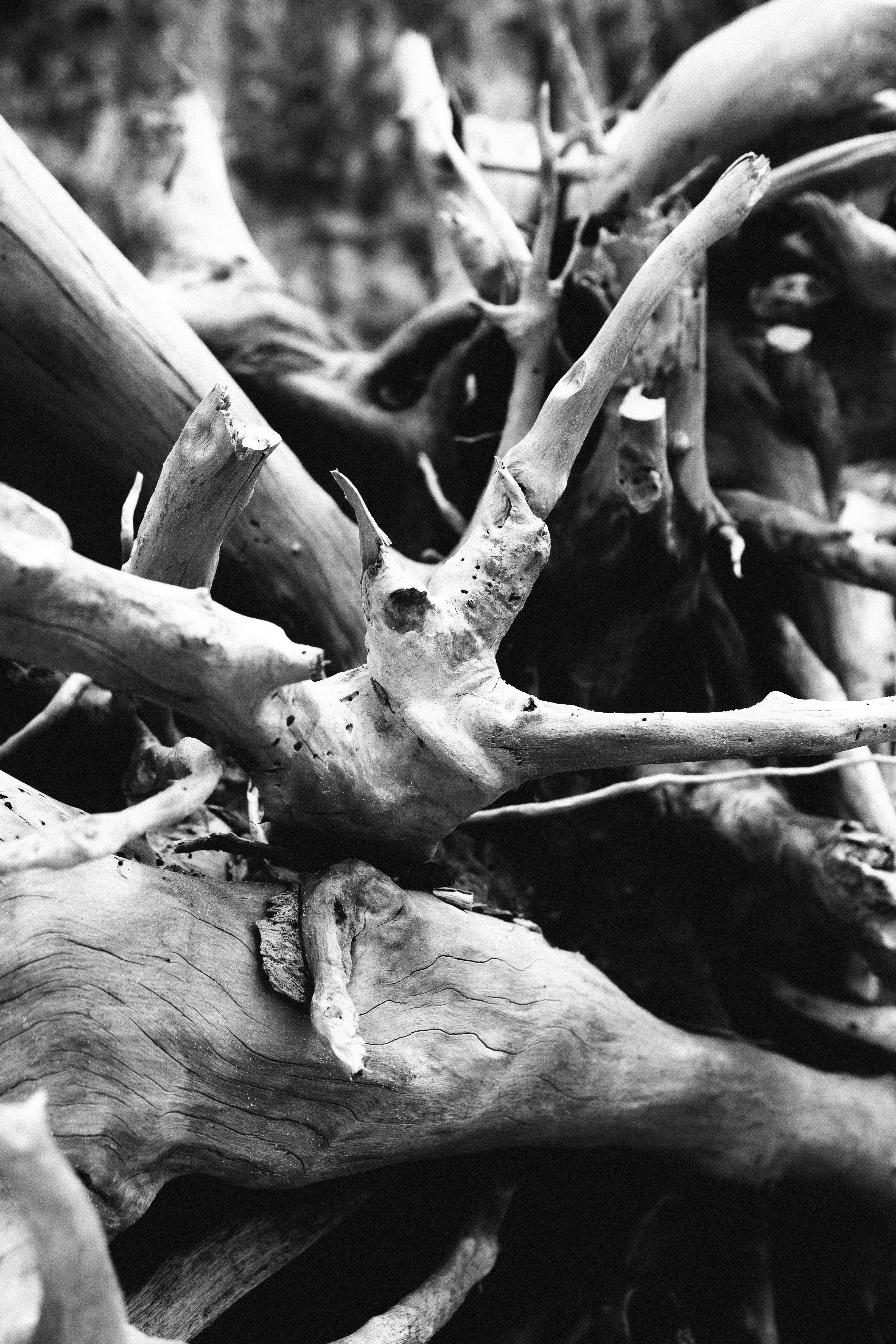 Photo by justadream_