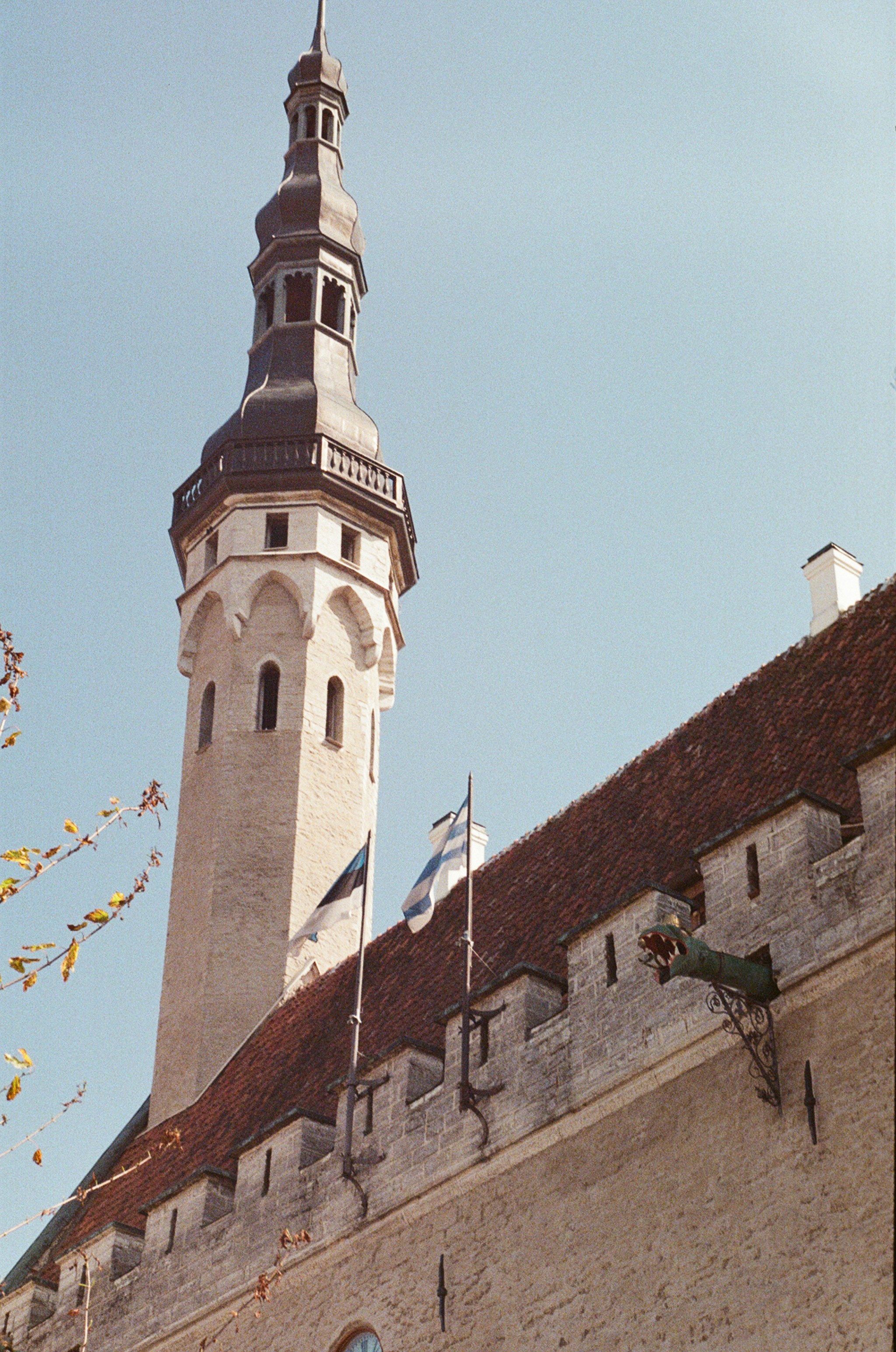 Tallinn town hall with flags flying high.