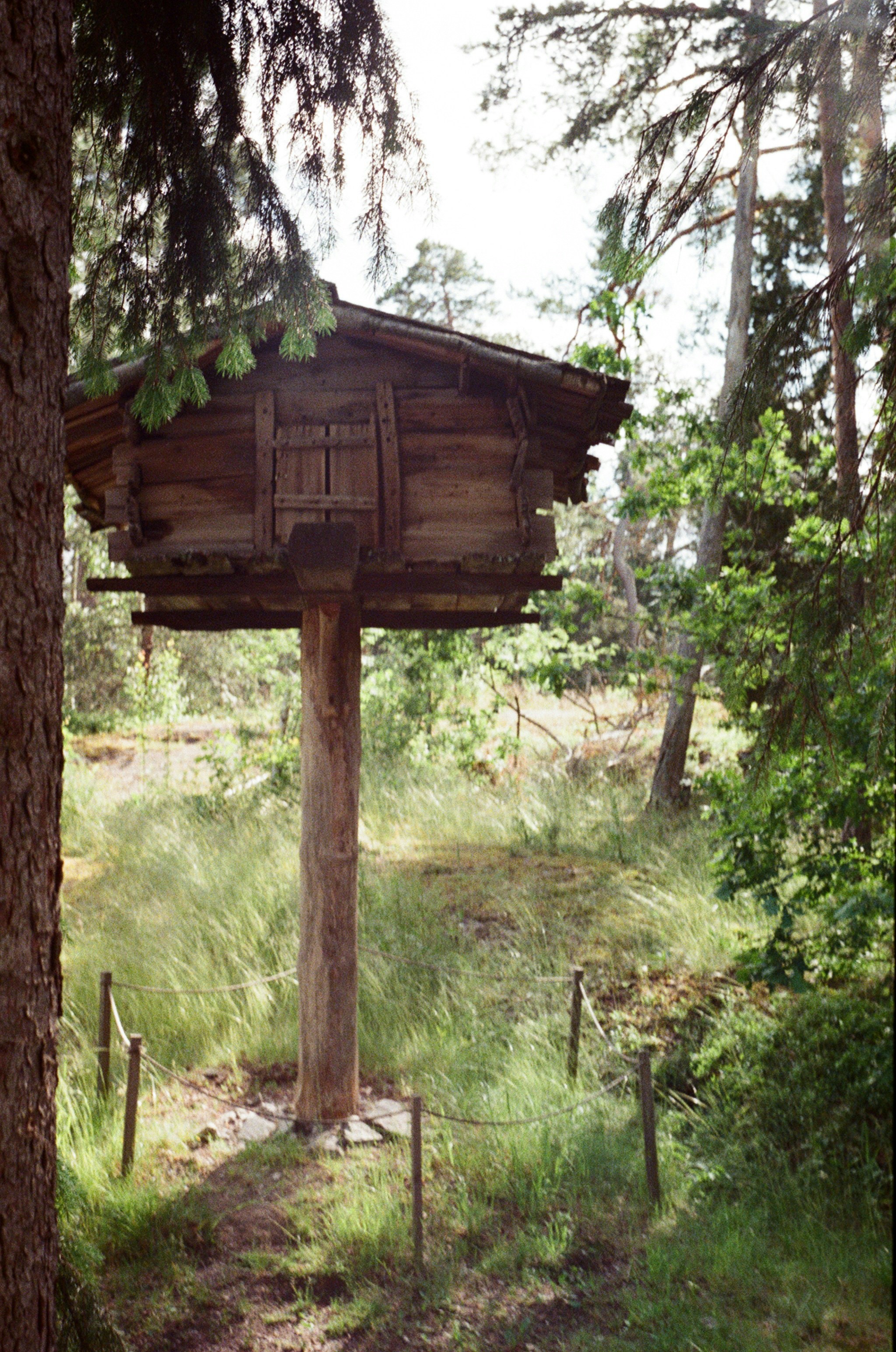 Photo by conorhennessy_