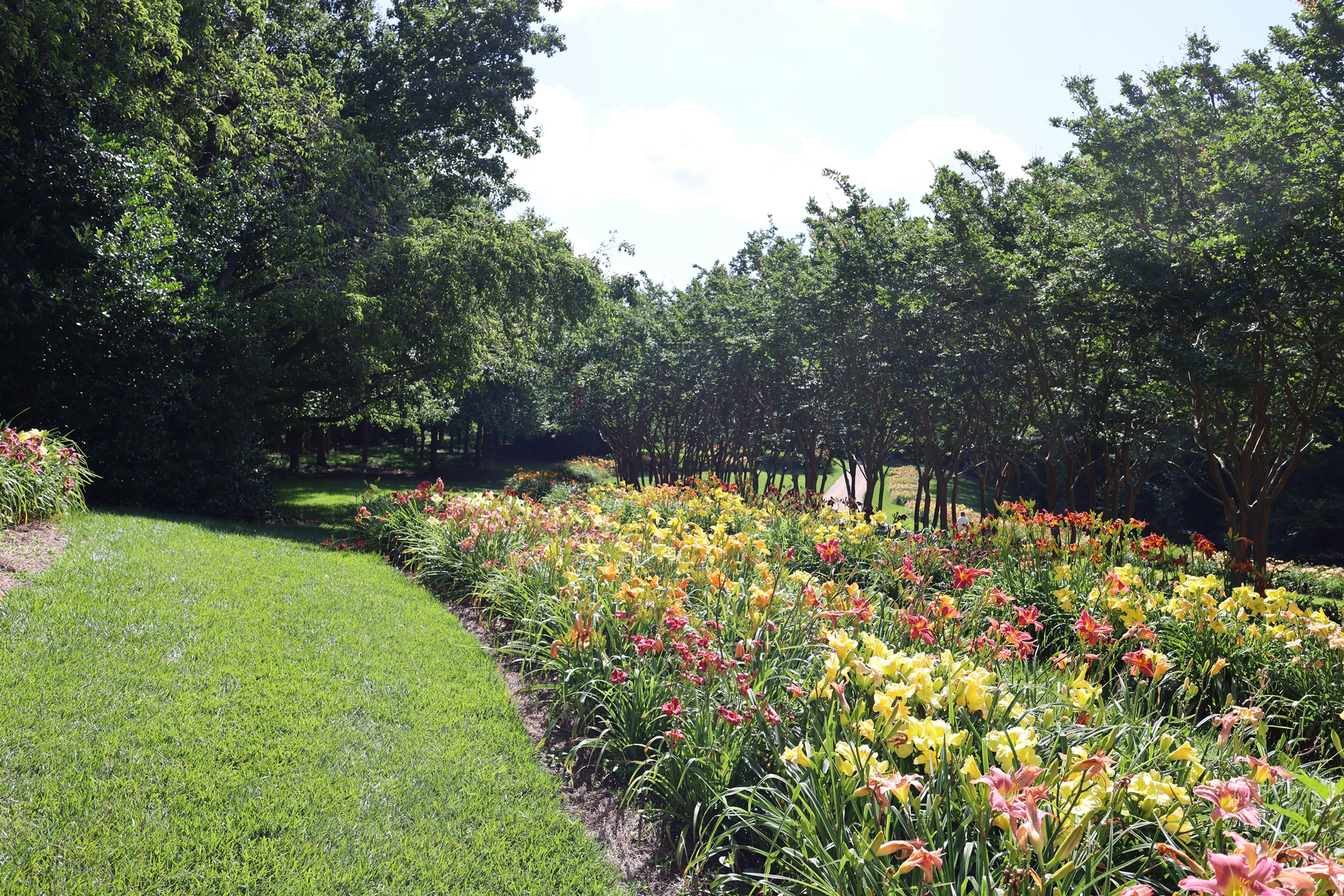 Photo by featherbrush