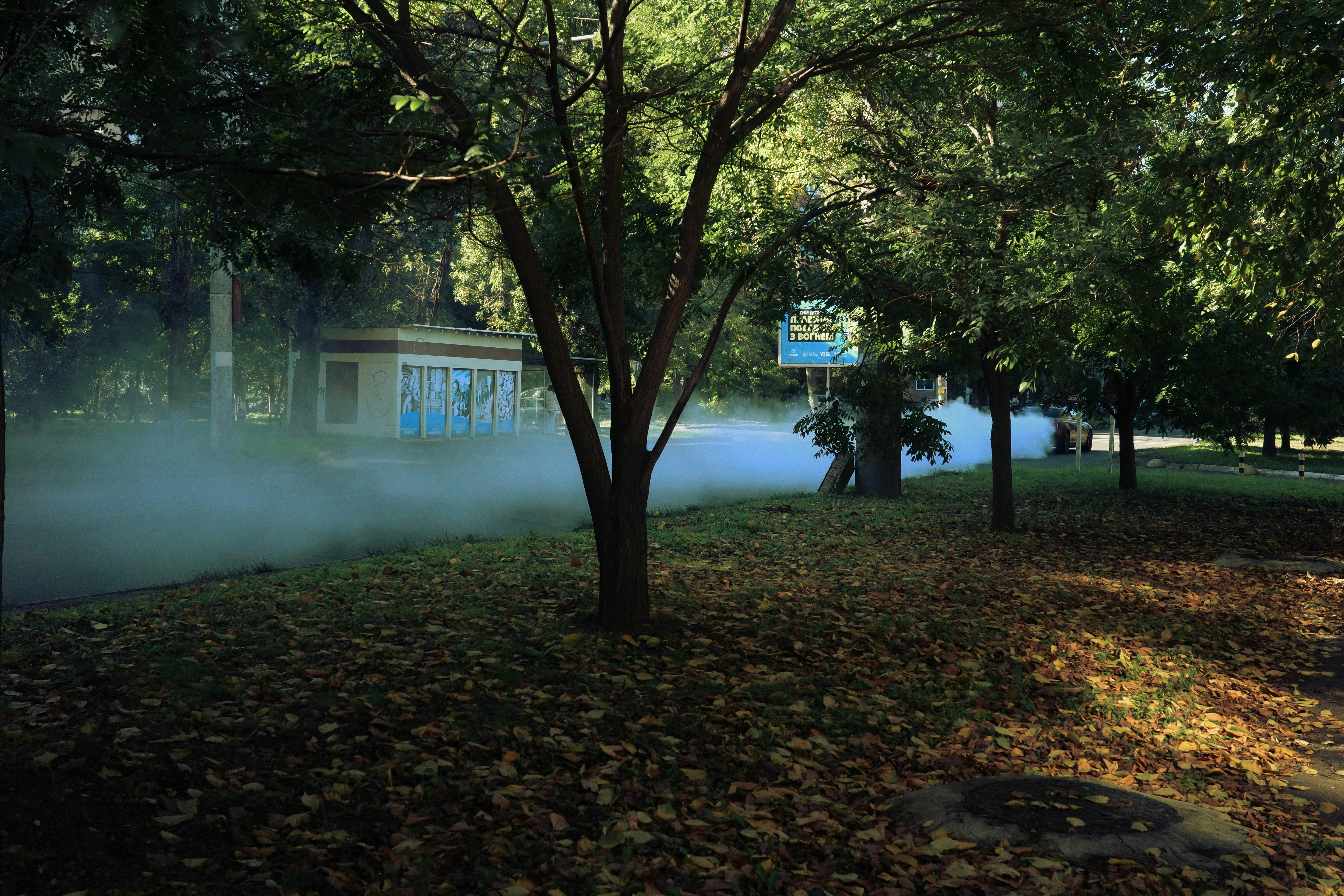 Photo by lvovandrewph