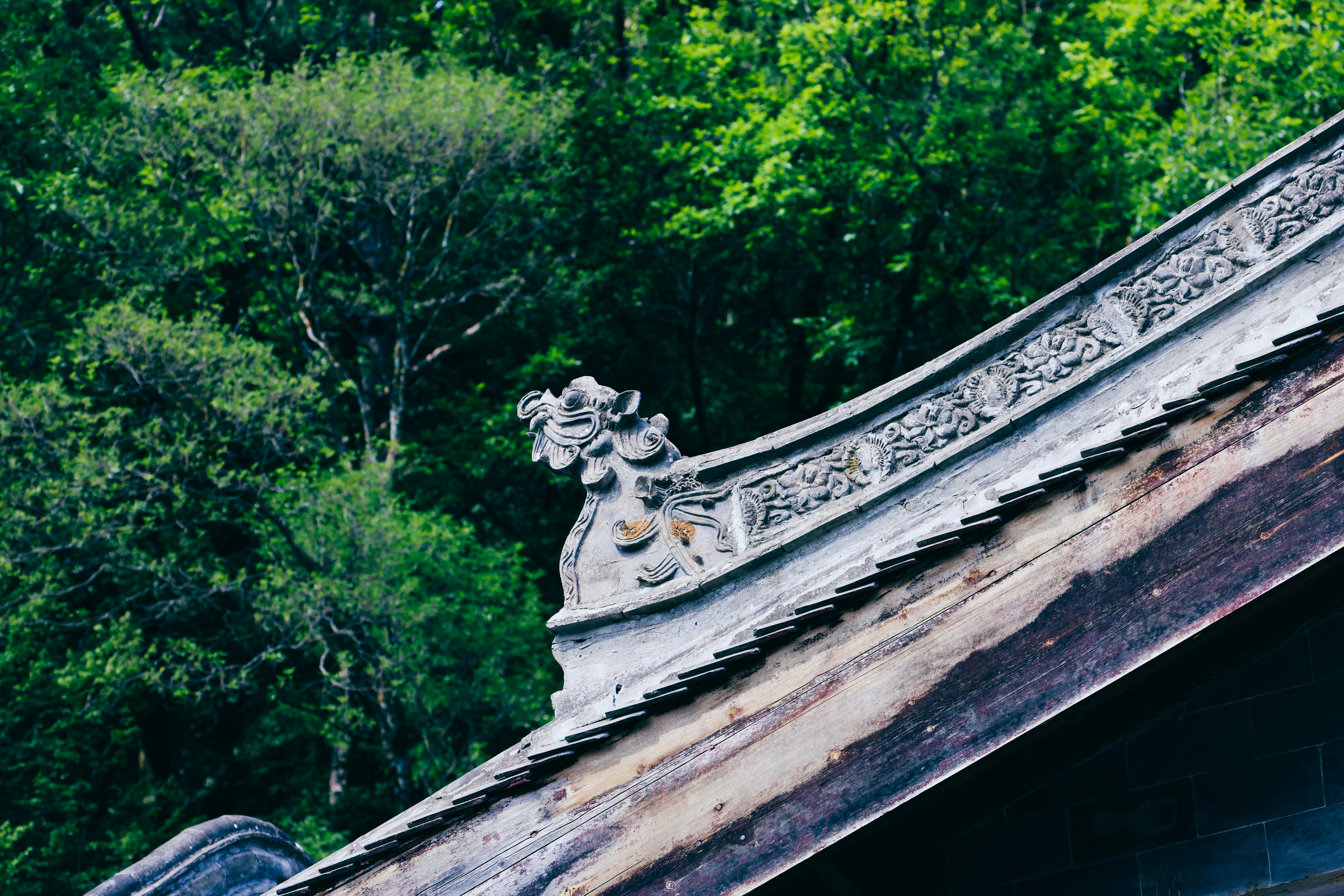 Photo by dickenslin76