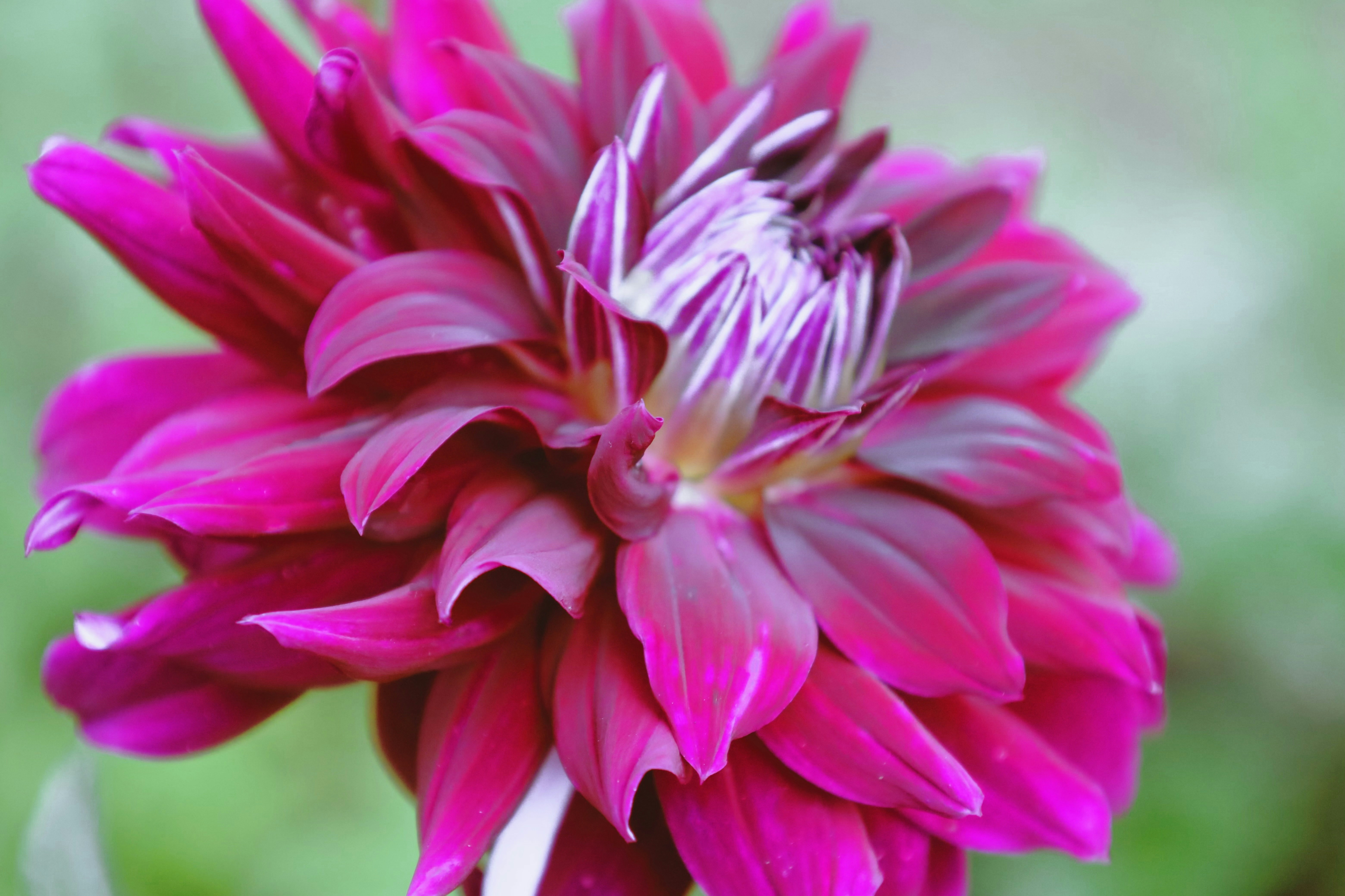 Photo by ananoelleeeee