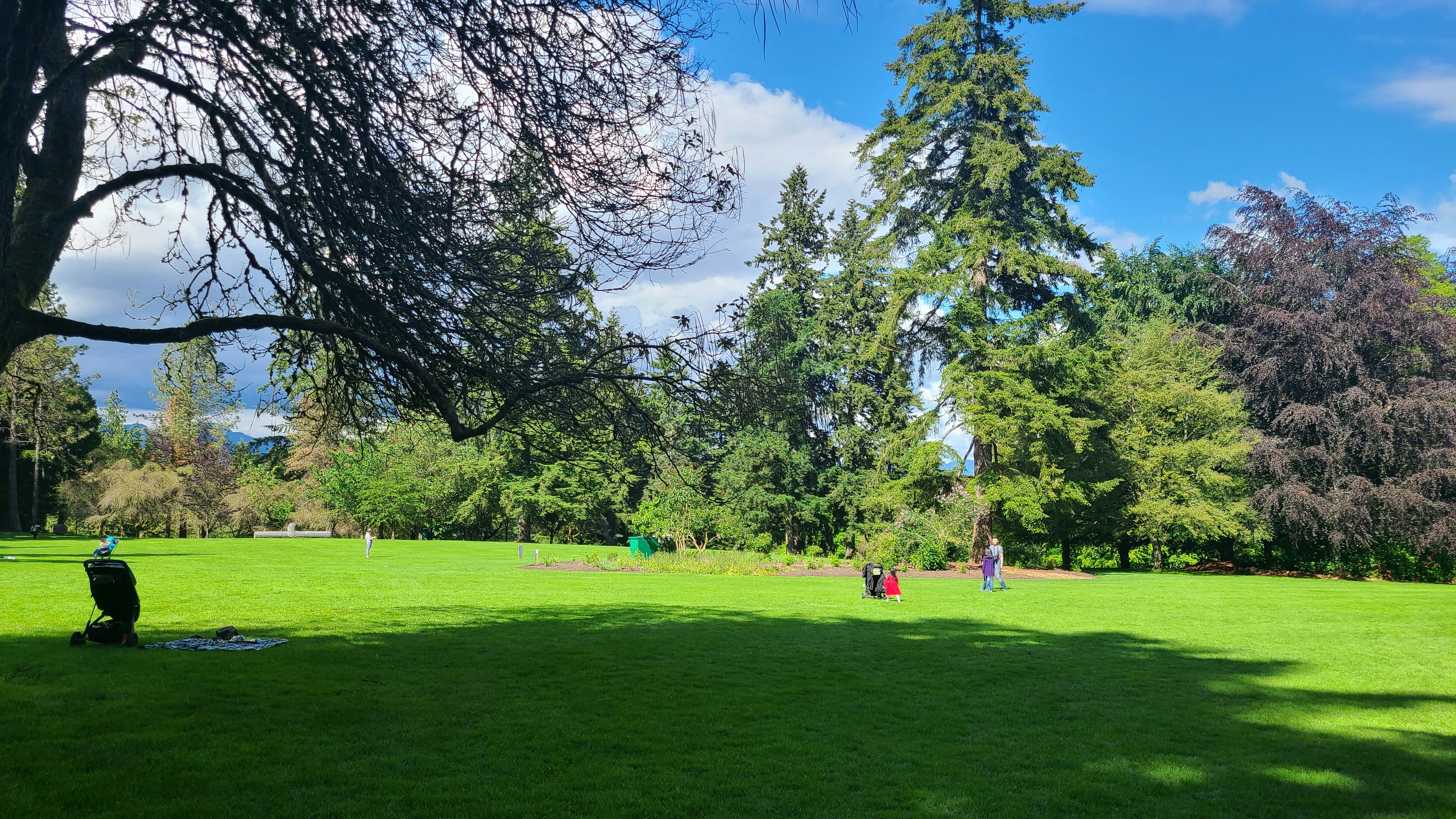 C.C. Jones Memorial Park