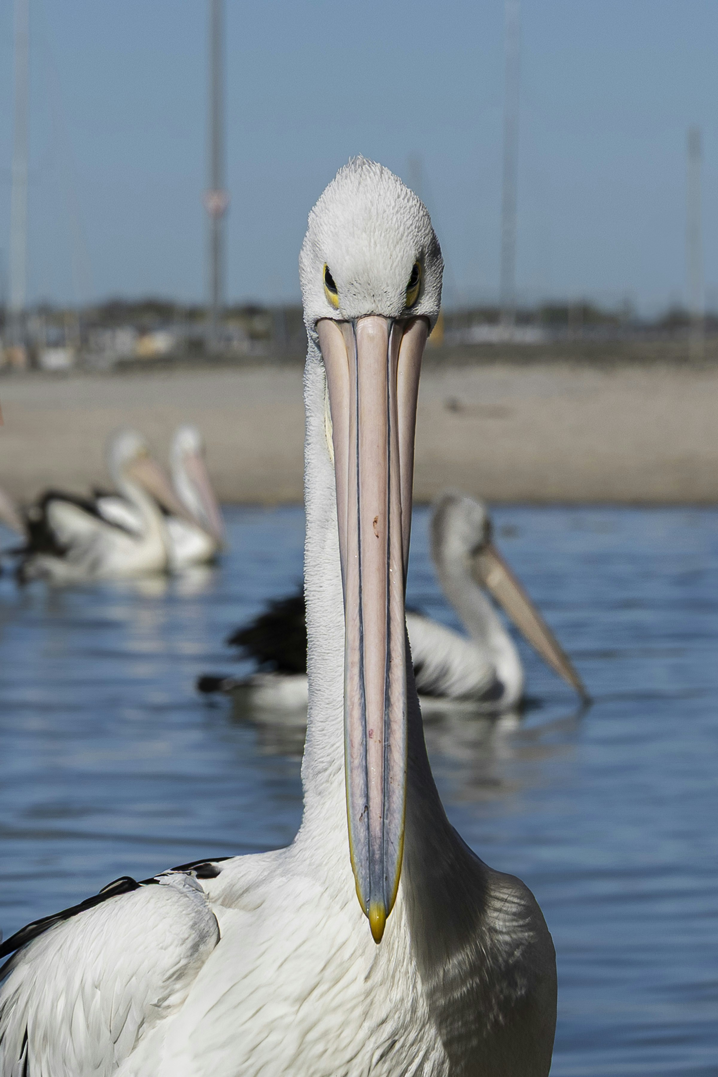 Photo by easterneuropedesign