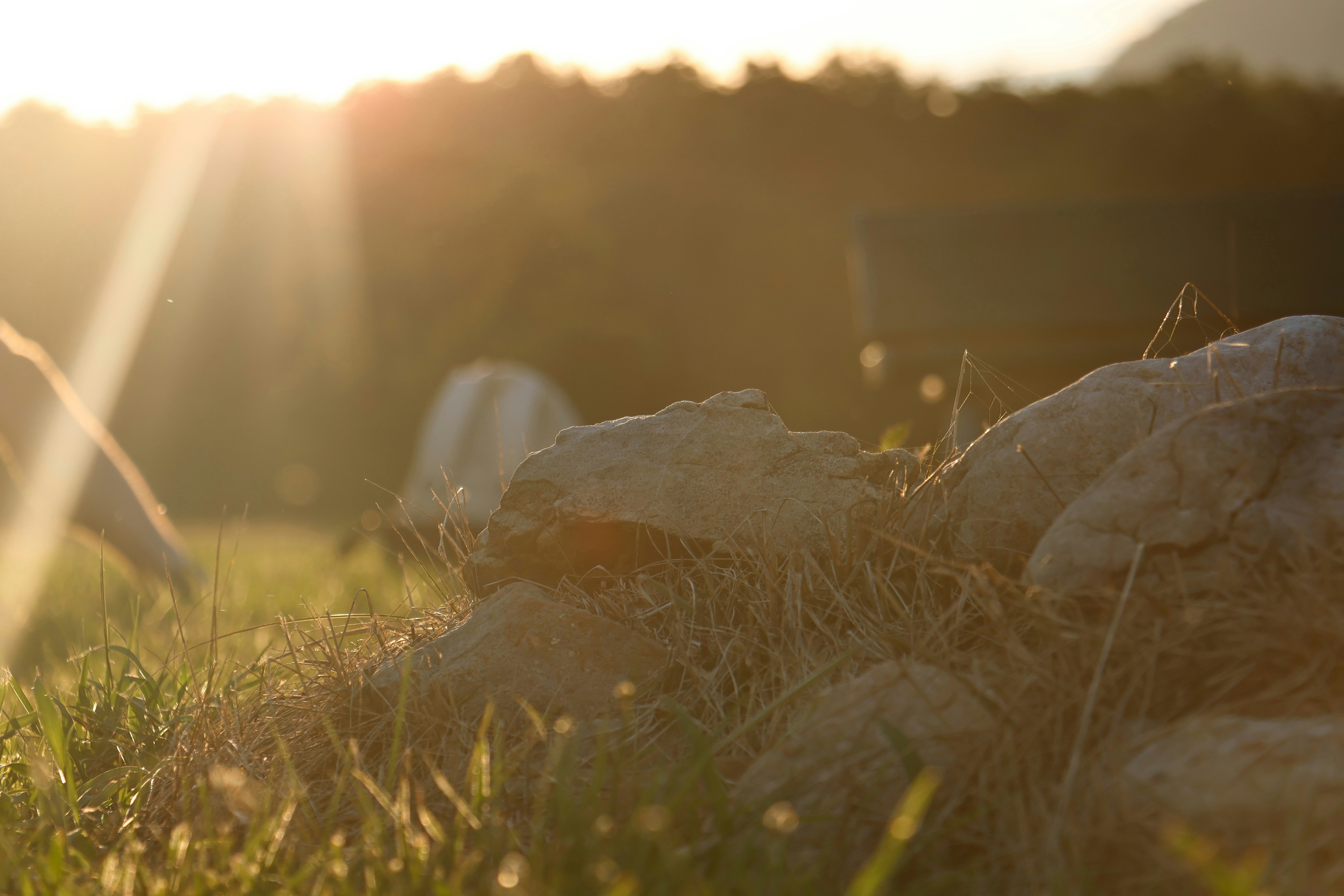 Photo by gavinroosien