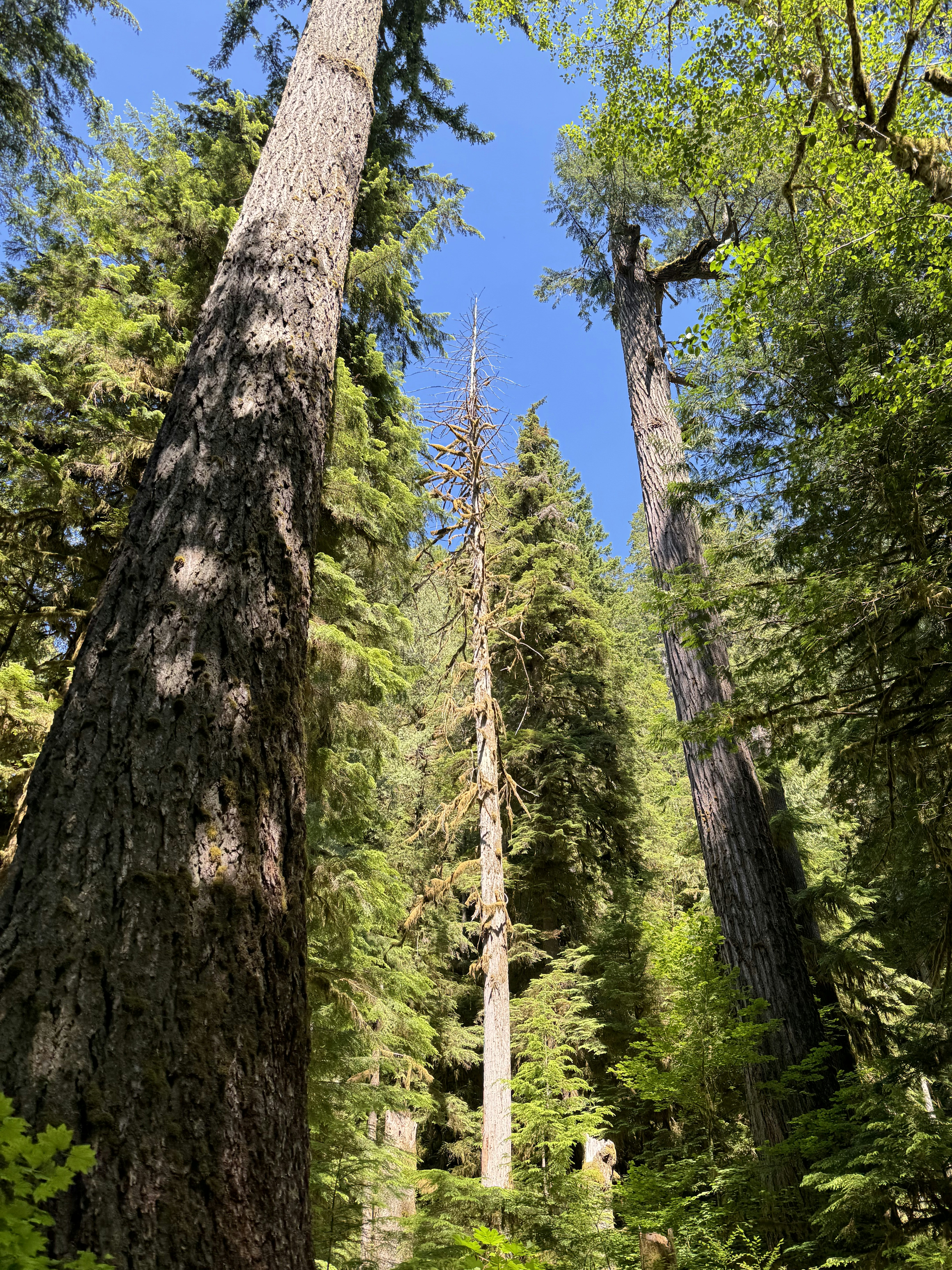 Photo by ethanzheng1347