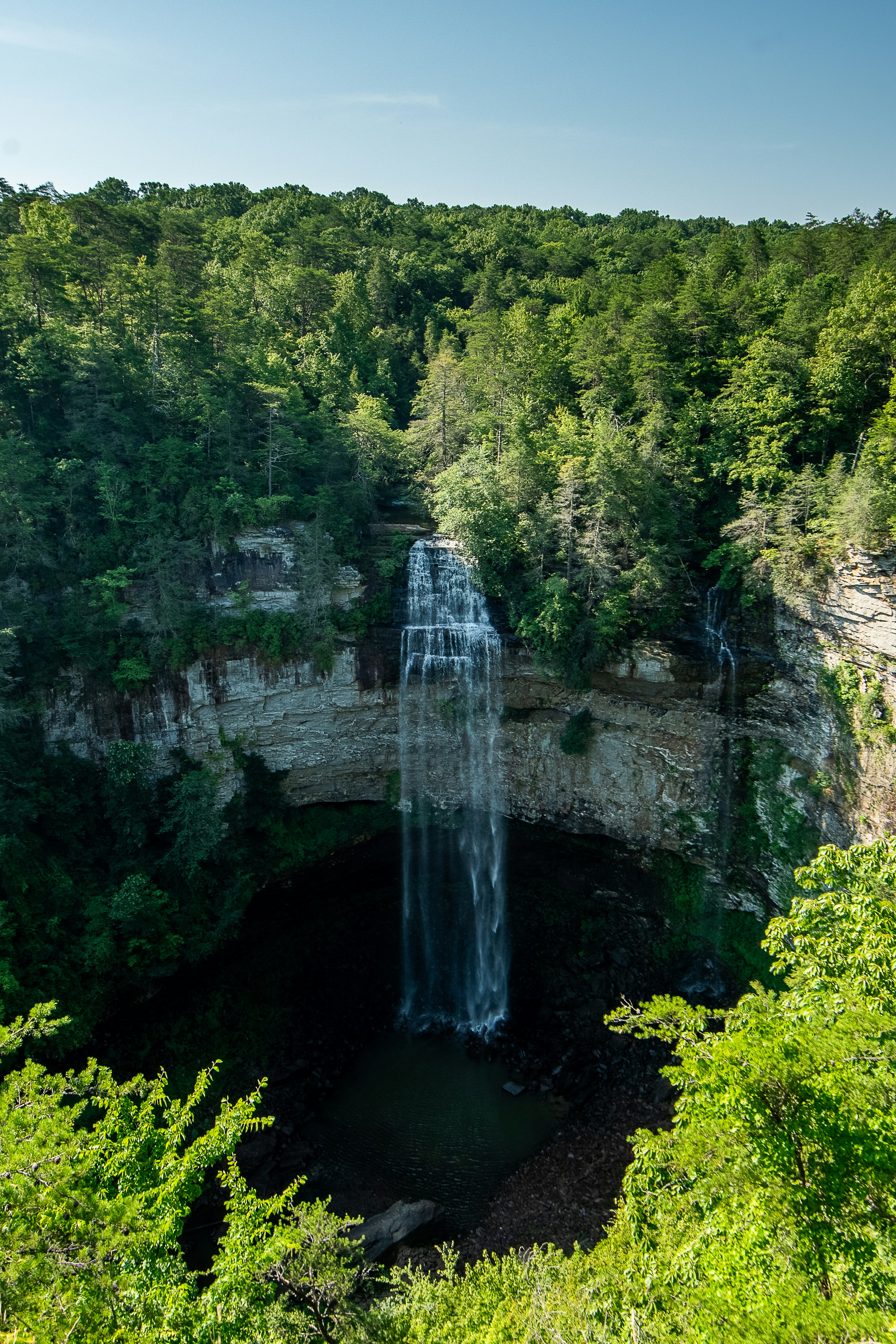 A tall waterfall cascades into a lush forest.