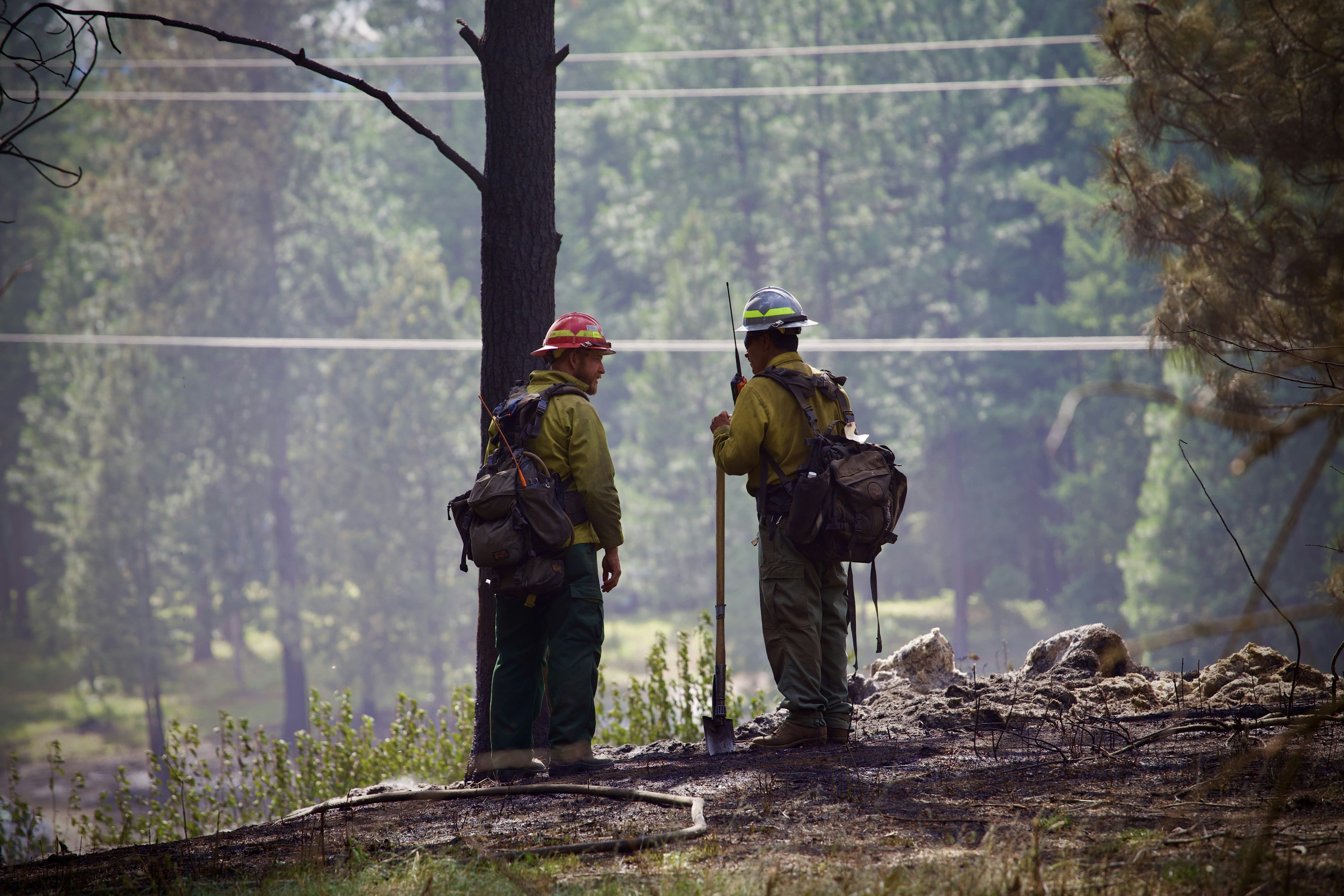 Firefighters survey a burned landscape.