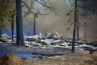 A forest fire left behind destruction and smoke.