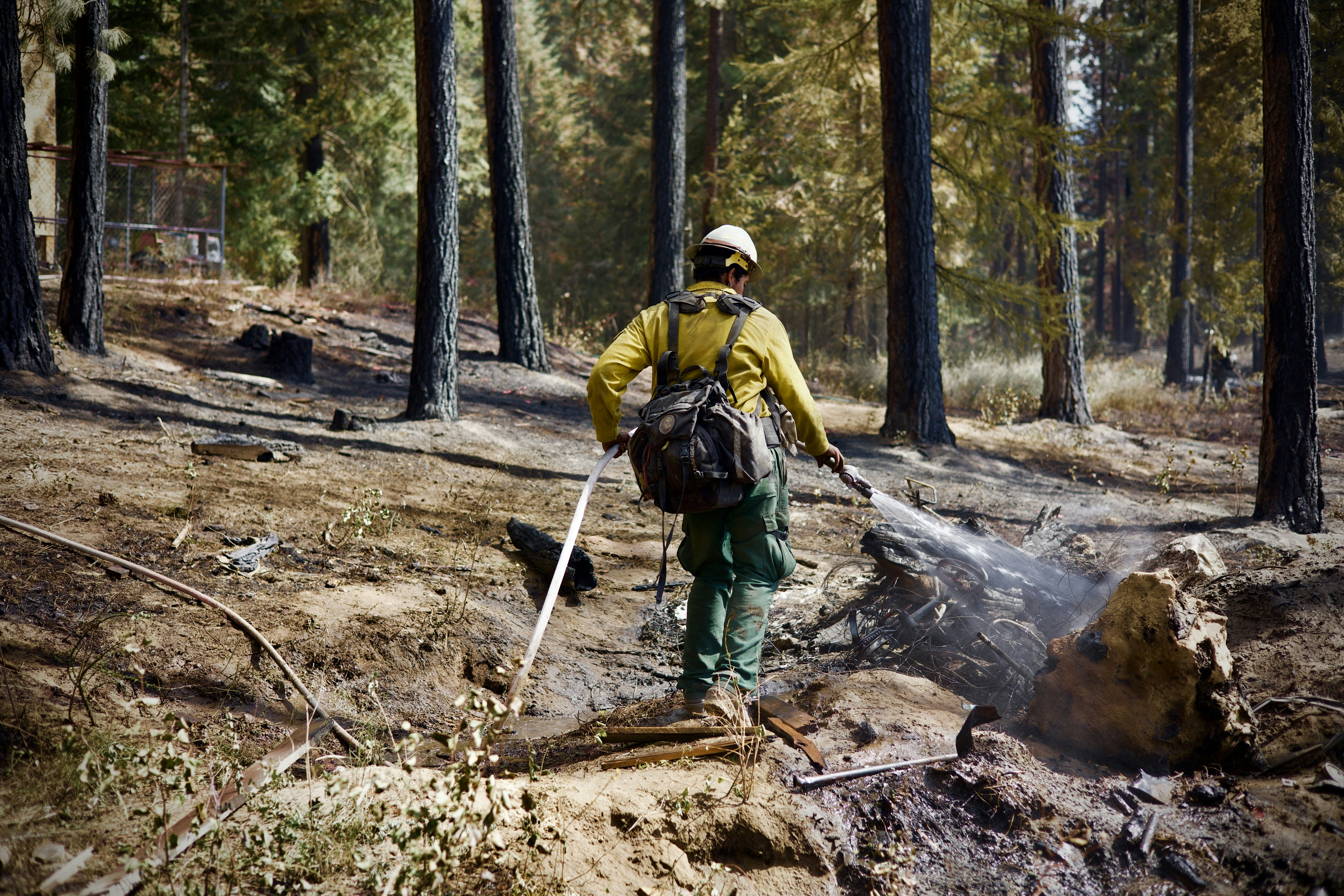 A firefighter extinguishes a fire in the forest.